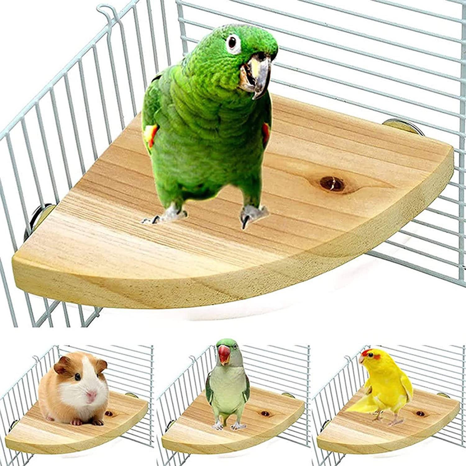 TRADERPLUS Wood Bird Perch Platform Stand Parrot Cage Perch Parrot Stand Playground Cage Accessories for Parakeets Bird Chinchilla Hamster Guinea Squirrel Hedgehog, 7 Inch image number 5