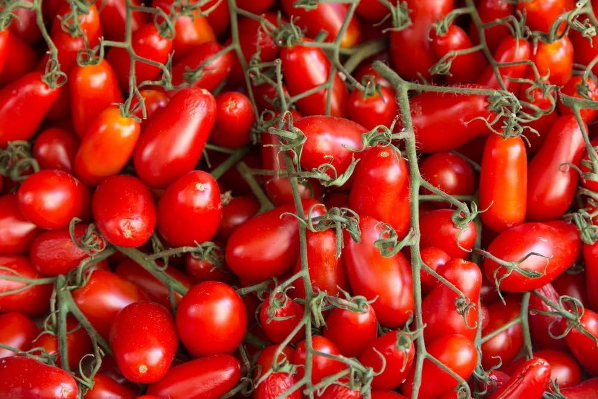 Italians Do It Better Pomodoro Sauce, 290G &ndash; Italian Pasta Sauce with Fresh Tomato and Basil, Ideal for Penne, Spaghetti, Traditional Tomato Sauce, Italian Made image number 6