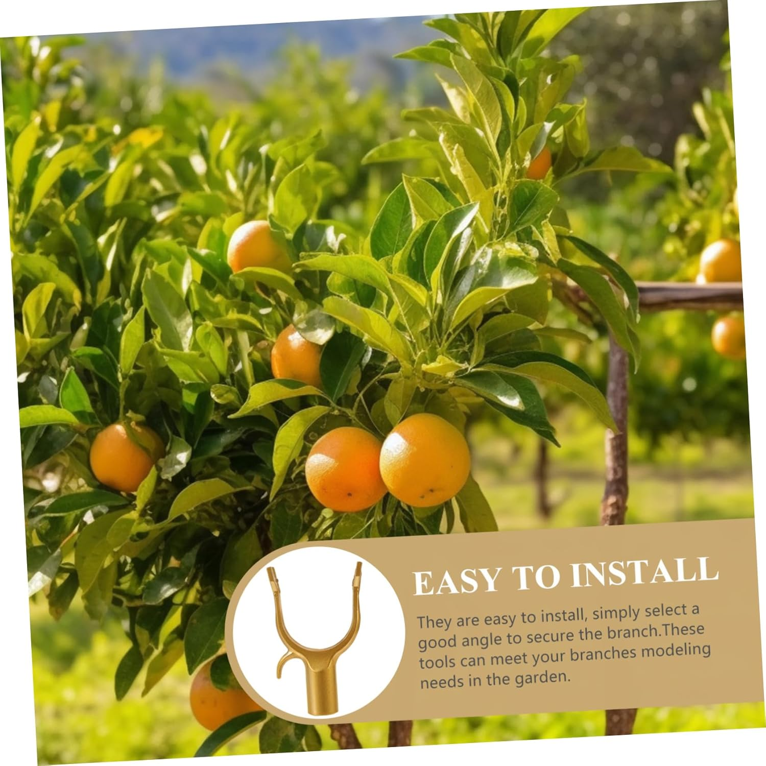 GAROZATION 8Pcs Plant Stem Support Racks Tree Braces for Gardening Plant Clips for Support Branch Straightening Tool Orchards Fruit Trees image number 2