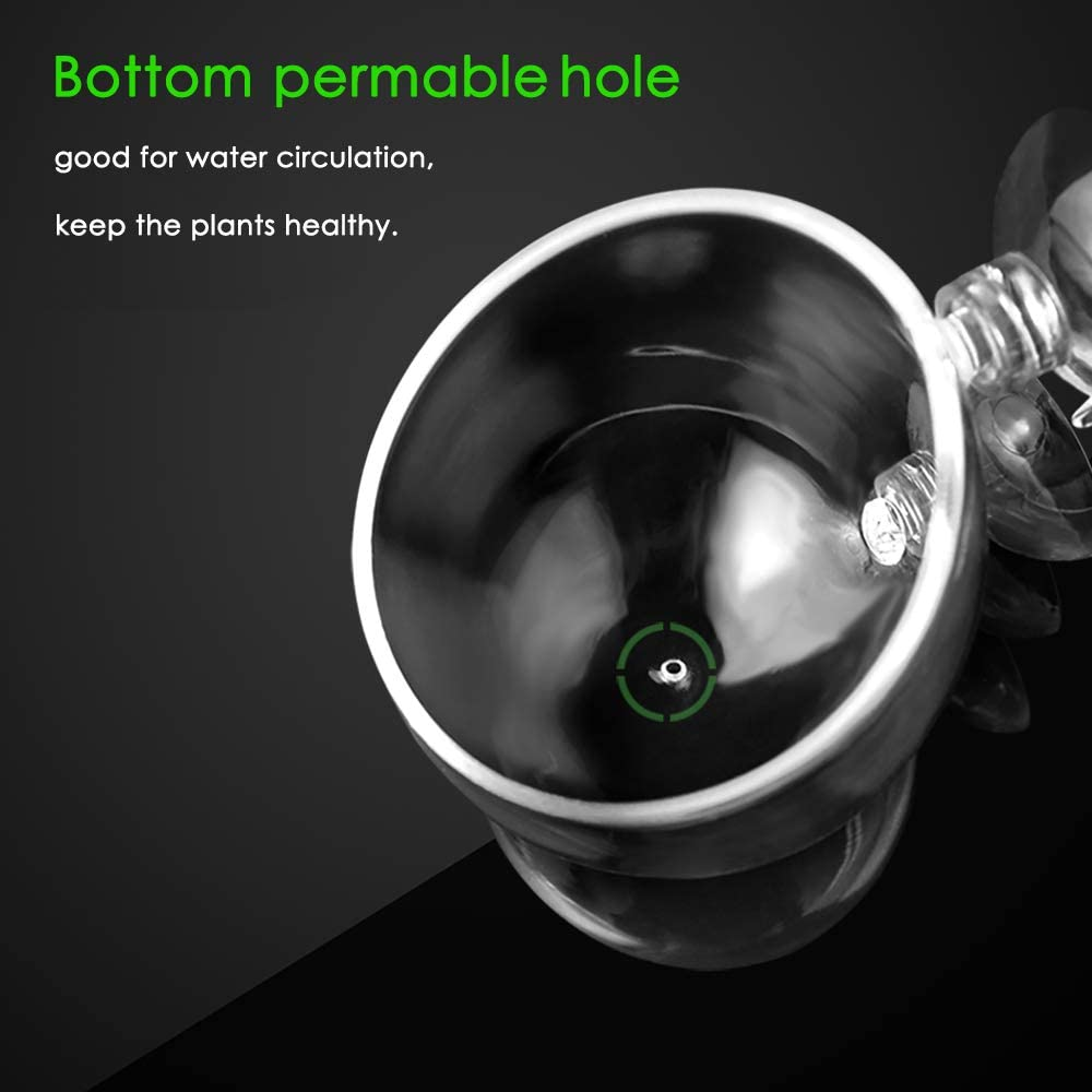 Capetsma 2X Crystal Glass Aquatic Plant Pot, Aquarium Aquatic Planter, Red Shrimp Live Plants Fish Tank Glass Holder with 4X Suction Cups for Aquarium Aquascape Decoration image number 6