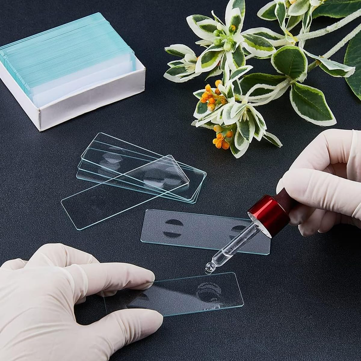 AIMALL Premium Microscope Cover Slips, Standard Pre-Cleaned Glass Slides, Set of 200, Size: 22 Mm X 22 Mm and 1" X 3"