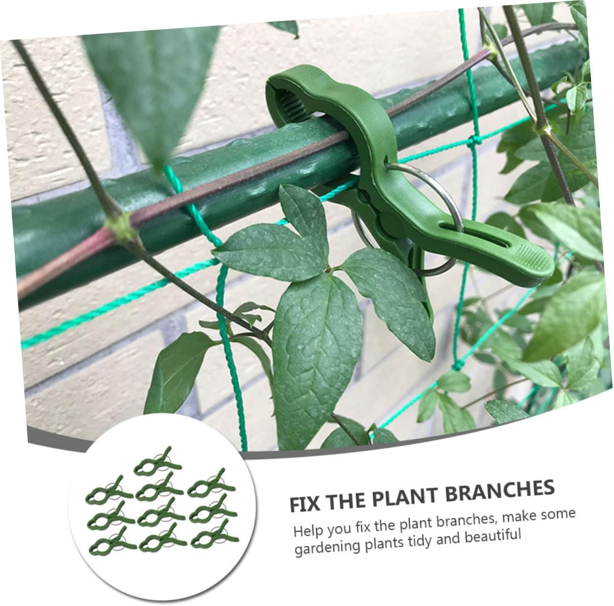 BUTIFULSIC 20Pcs Garden Fixing Clips for Potted Plants Branches Support Clamps for Gardening and Easy to Use for Orchids and Climbing Plants image number 4
