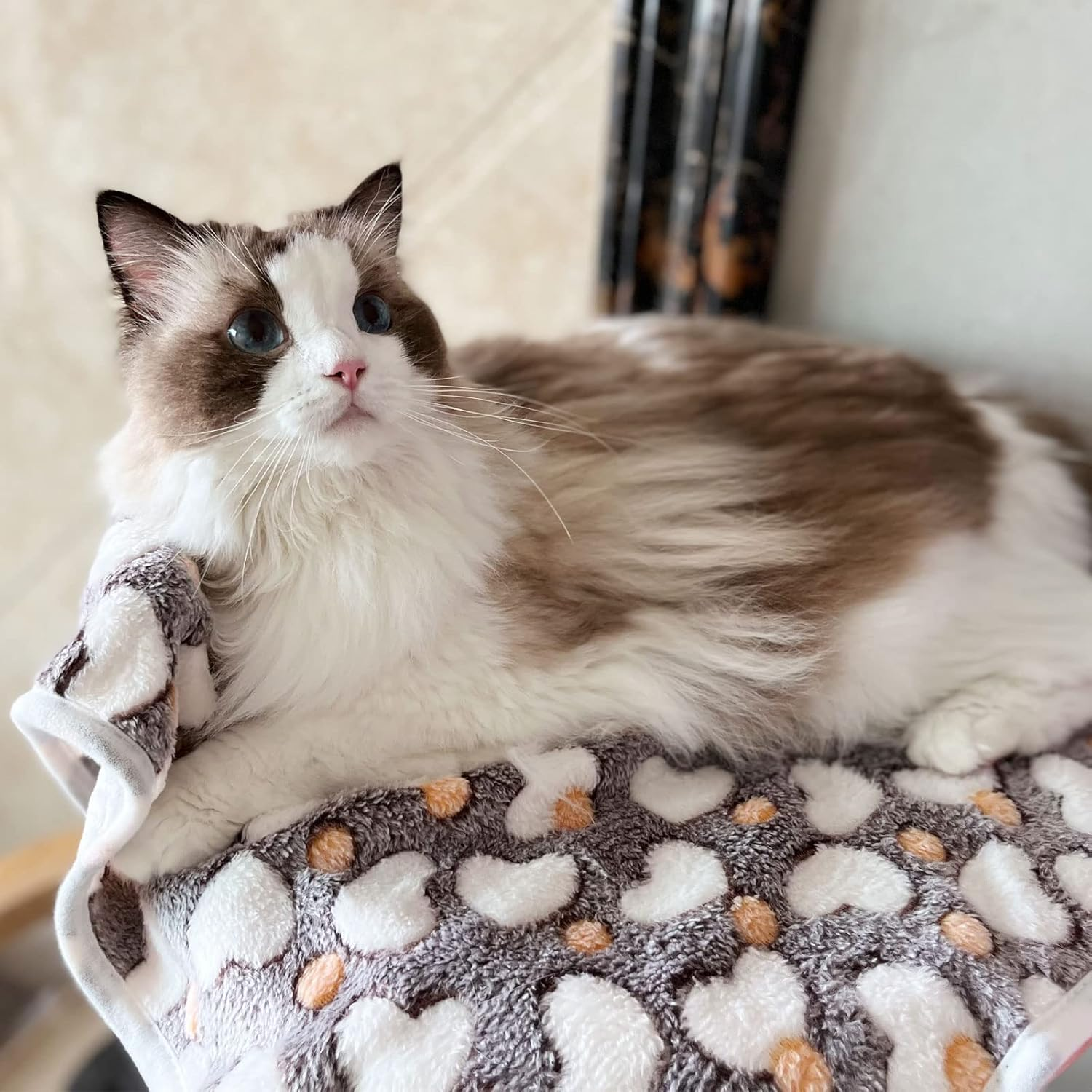 1 Pack 3 Puppy Blankets Super Soft Warm Sleep Mat Grey Cute Print Blanket Fluffy Fleece Pet Blanket Flannel Throw Dog Blankets for Small Dogs Puppy Dogs Fluffy Cats,Love-Large(40"X30") image number 2