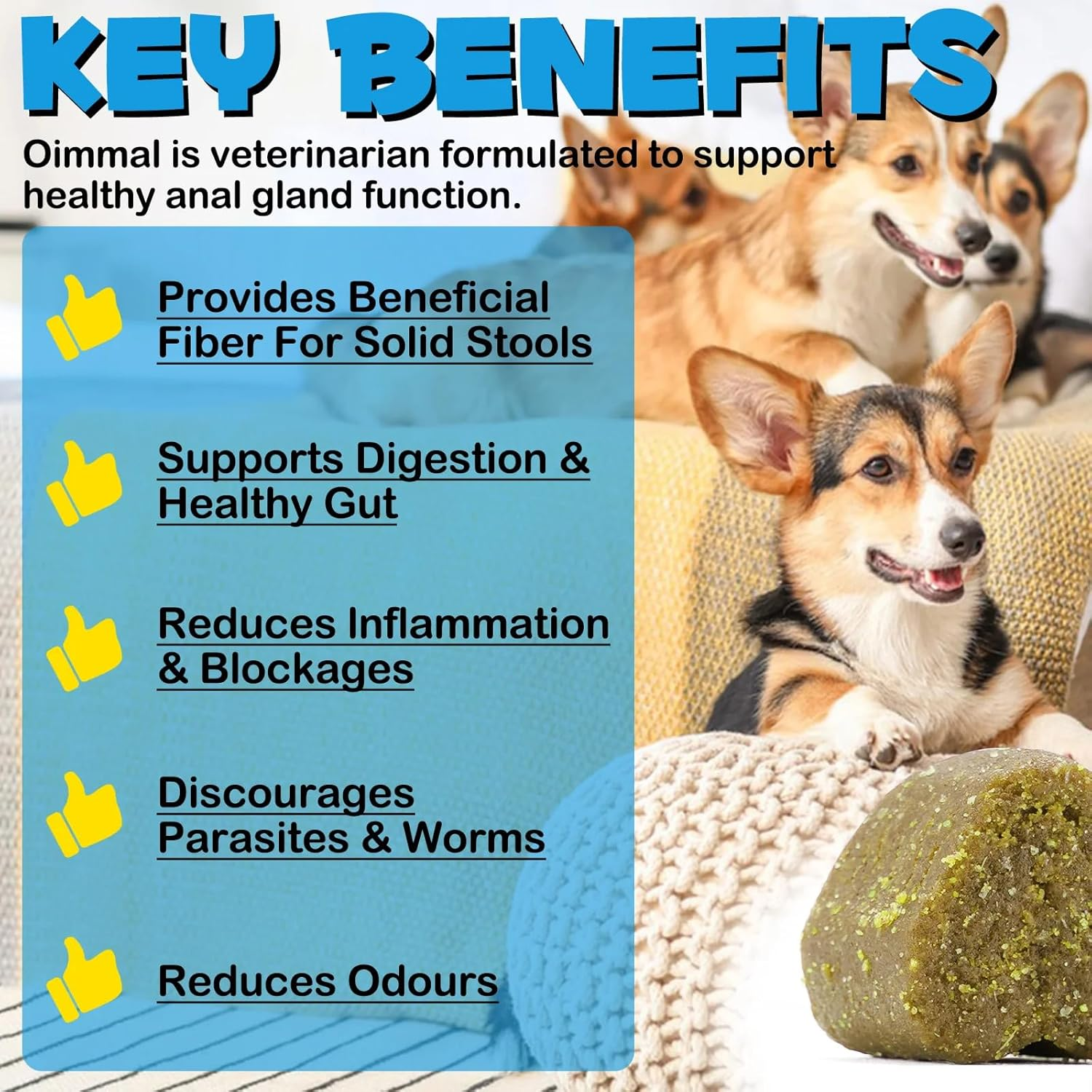 Dog Anal Gland Support Chews | Natural Formula for Digestive Health & Comfort | Promotes Anal Gland Function & Reduces Discomfort | 150 Chews image number 2