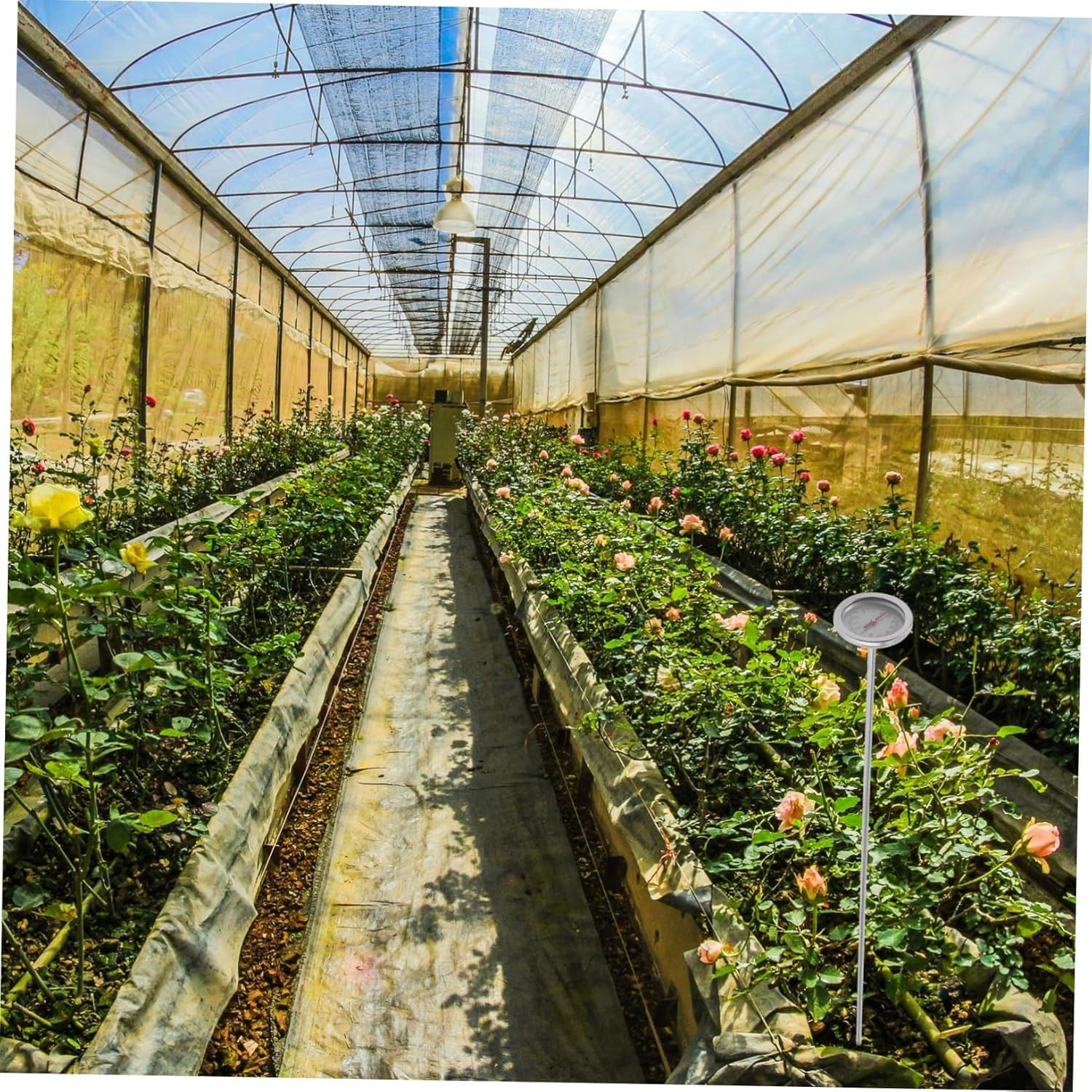 BESPORTBLE Precise Compost Thermometer Tool with Probe for Gardening Soil Temperature Measurement Reliable Physical Sensing Use Garden Instrument for Moisture and Plant Care image number 1