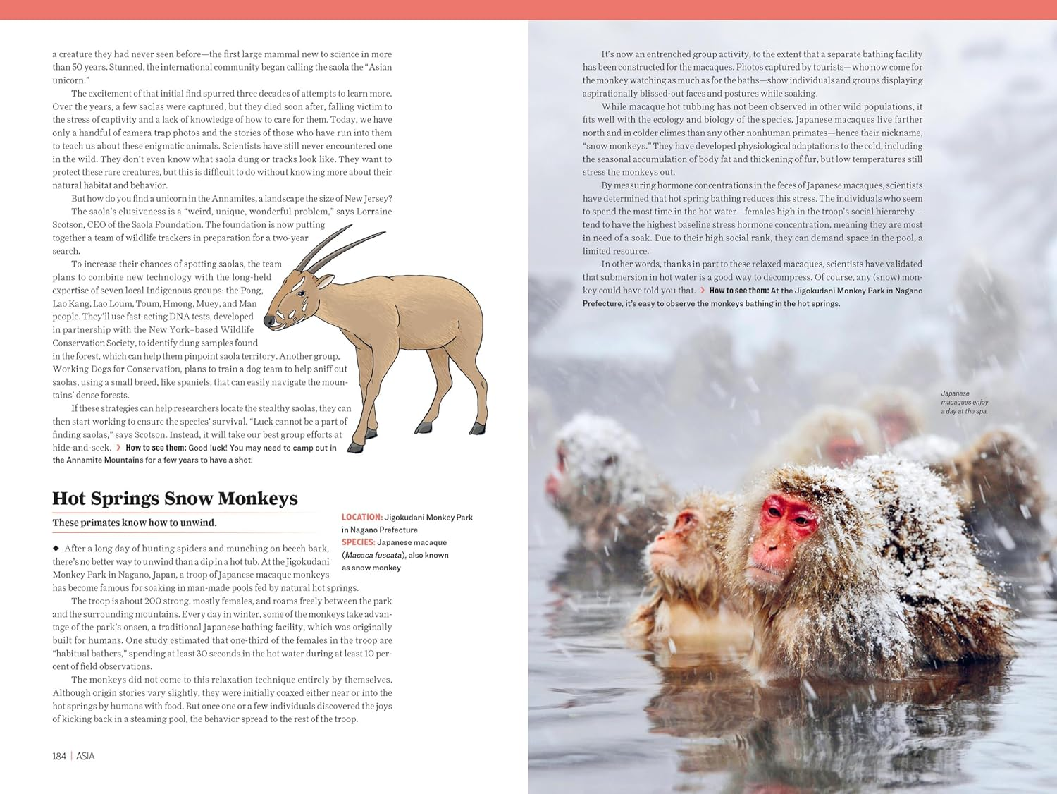 Atlas Obscura: Wild Life: an Explorer'S Guide to the World'S Living Wonders