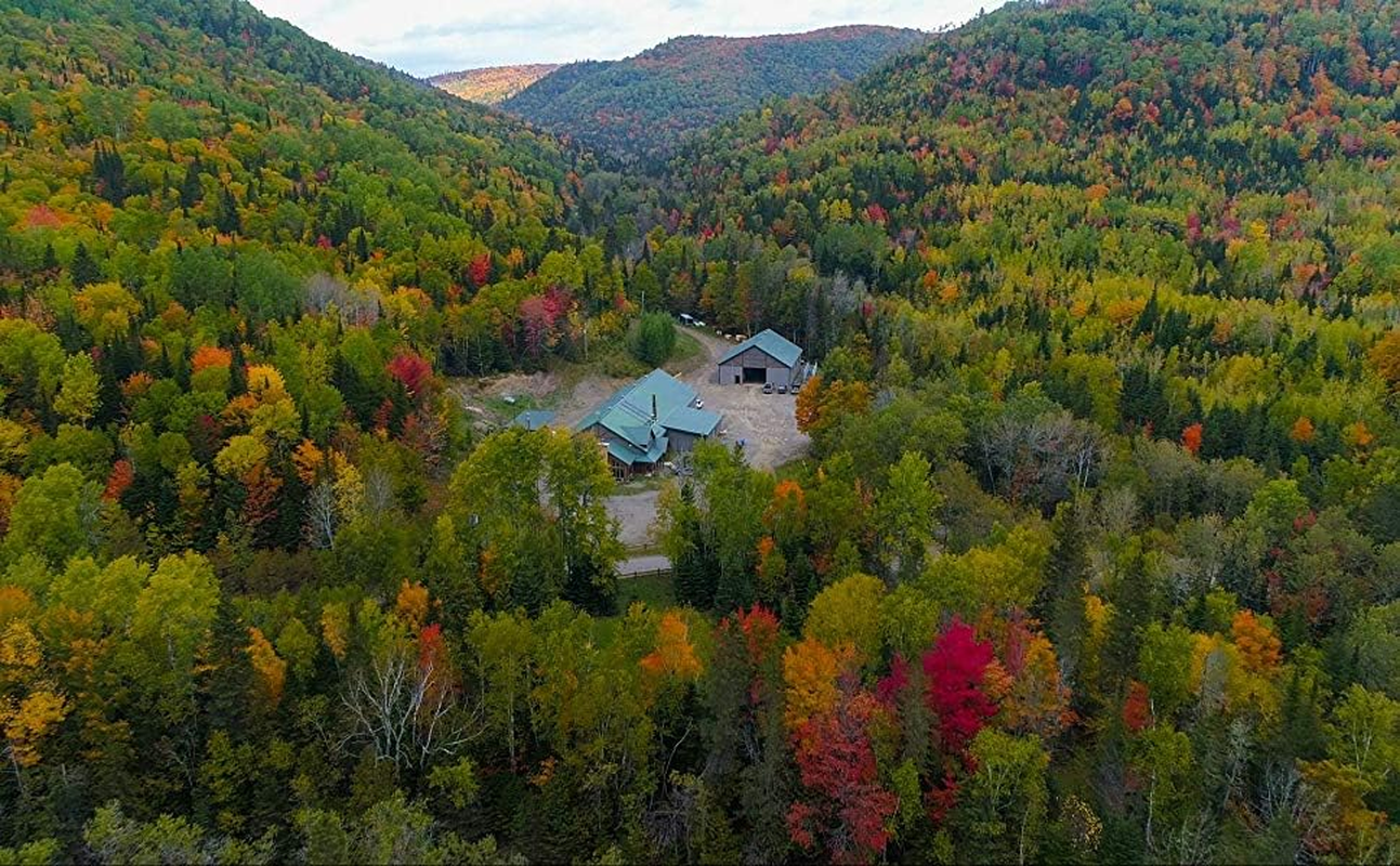 Pure Canadian Maple Syrup by Escuminac Maple Farm. Family Size Format. (33 Fl Oz) 1L. Canada Grade A, Robust Taste, Late Harvest. 100% Organic, Single Origin, Bottled by the Maker. image number 1