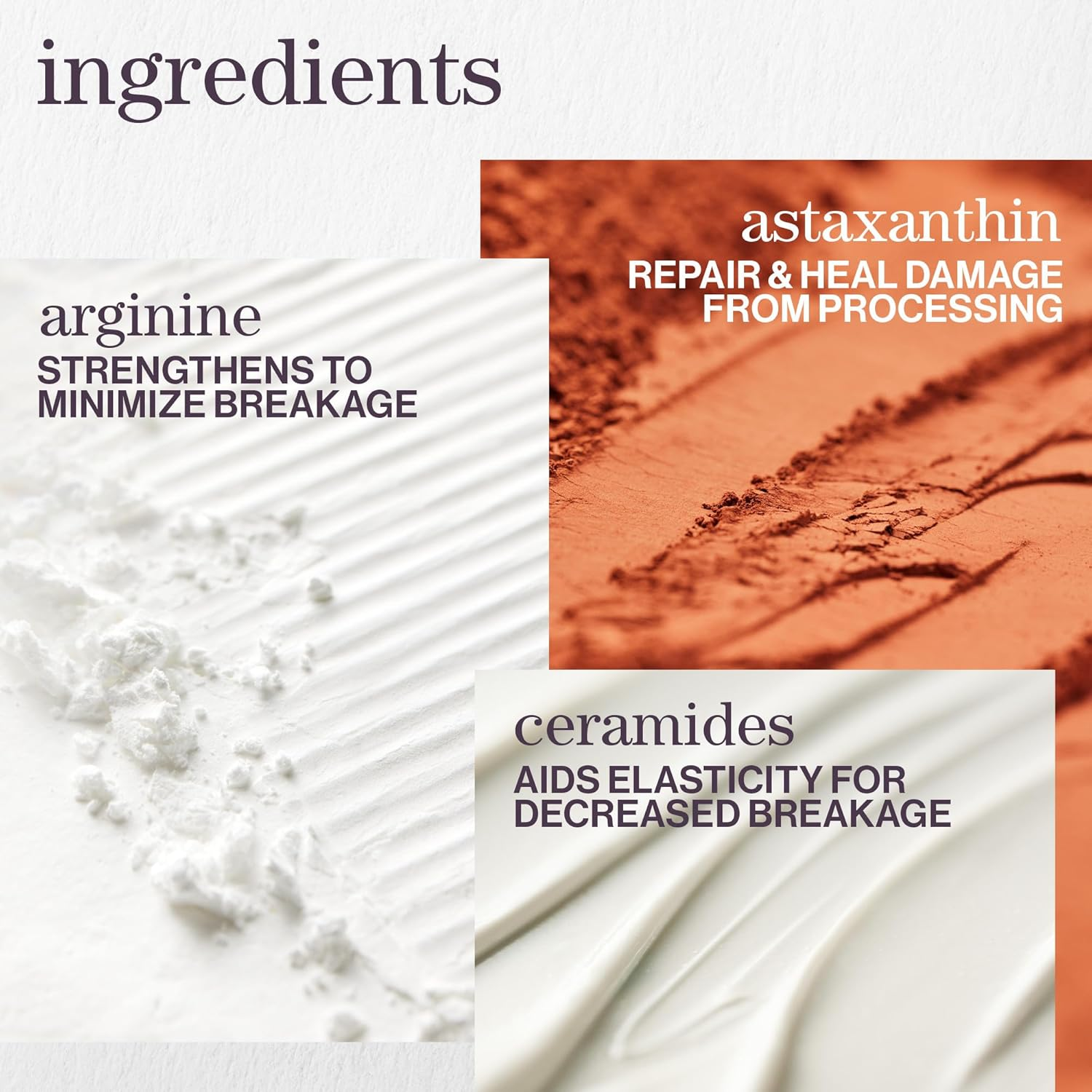 Pureology Strength Cure Blonde Purple Shampoo - for Blonde & Lightened Color-Treated Hair, Tones & Fortifies Brassy Hair, Sulfate-Free & Vegan | 266Ml image number 3