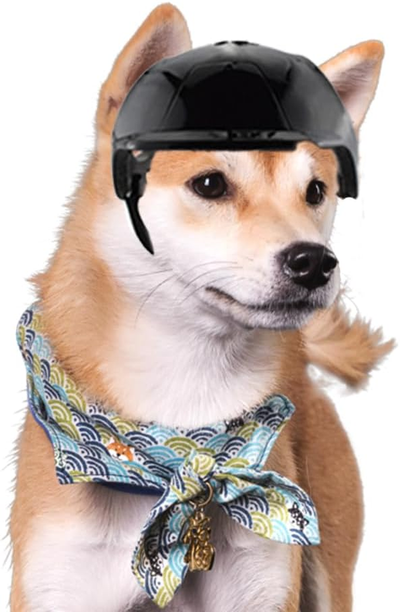 Dog Helmets for Small Dogs with Ear Holes, Hard Pet Dog Hat for Puppy, Windproof Doggies Motorcycle Helmets for Outdoor Riding Hiking Cycling,Motorcycle/Bike Hat for Cat (Black) image number 2