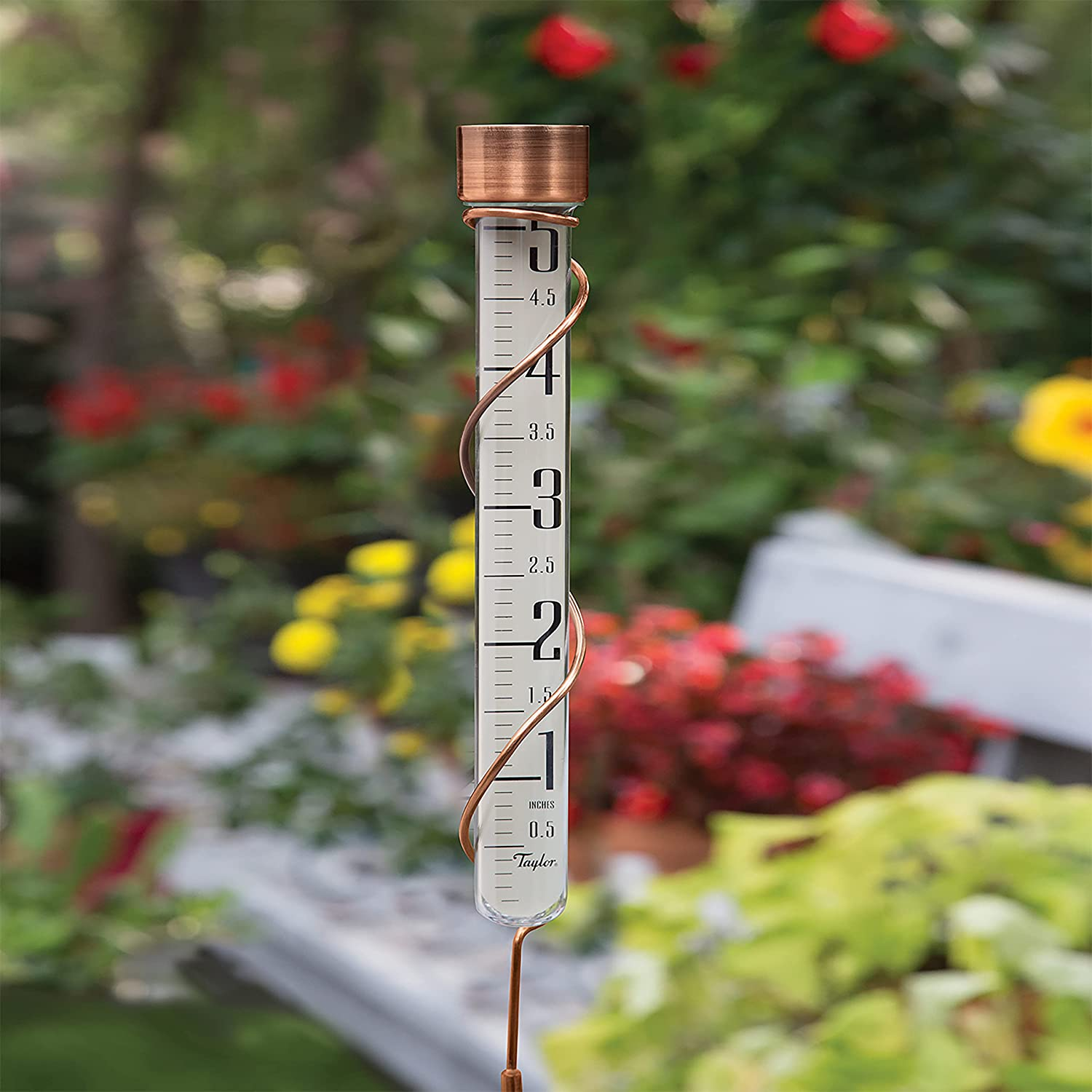 Taylor Precision Products Heritage 27" Tall Glass Rain Gauge, 5" Capacity, Copper image number 5