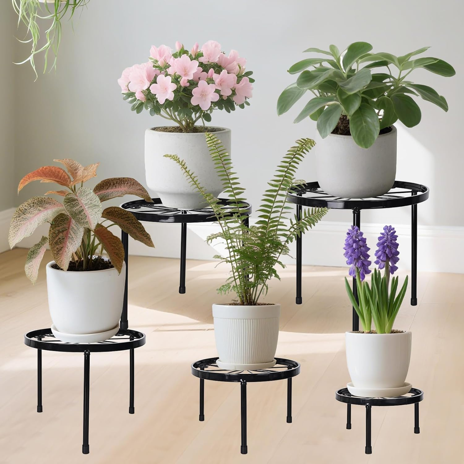 5 Pack Metal Plant Stands, Ditind Heavy Duty Flower Pot Stands for Multiple Plant, Plant Pot Shelf, Rustproof Iron Potted Stand Holder for Outdoor Indoor, round Supports Decor Racks for Garden Home