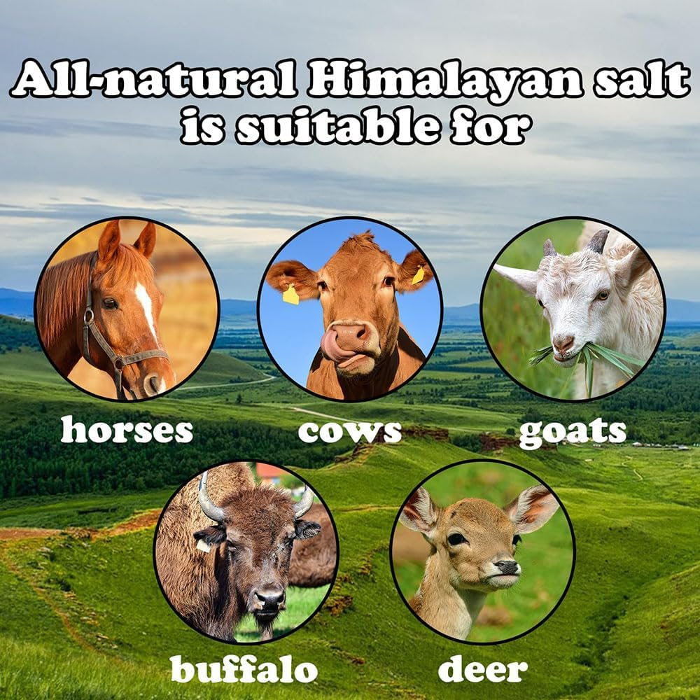 Himalayan Salt Lick Salt Block on Rope for Horse Animals Mineral Salt Licks;Natural Mineral Salt Block for Horses,Cattles,Deer,Goat,Livestock Long Lasting Original Pink Salt Lick (2.4-4.4Lbs)