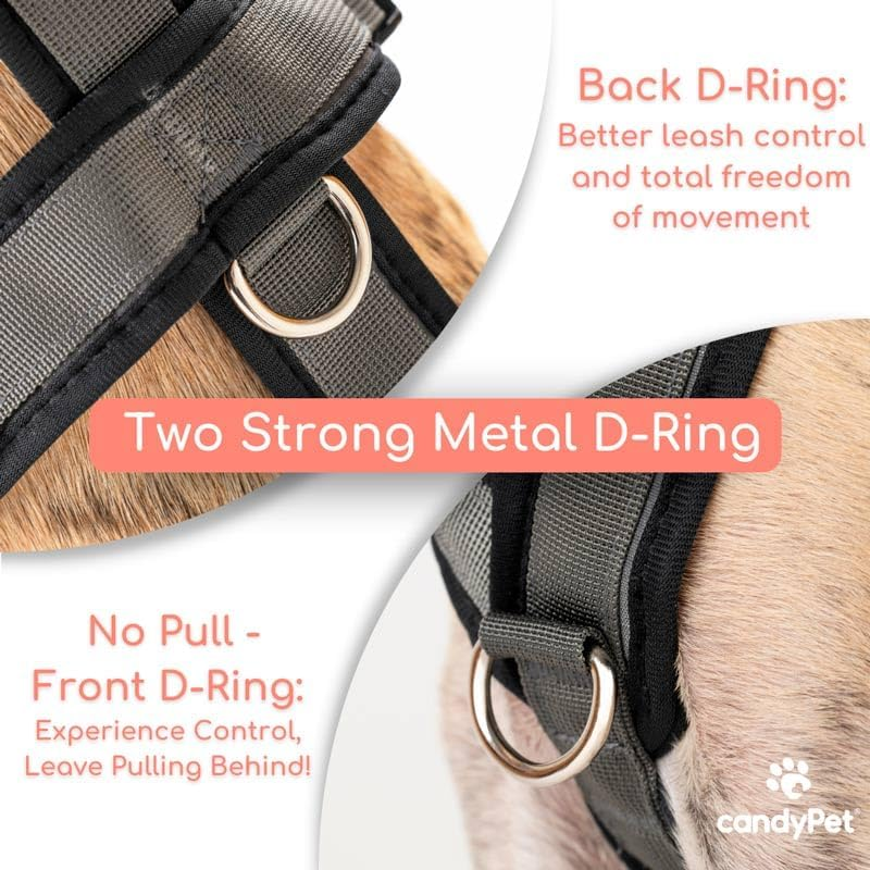 Reflective Y Shaped Dog Harness Ideal for Lebreles: Italian Greyhound Whippet Greyhound Podenco - Safe, Breathable and Durable, Perfect for Hiking, Training and Running image number 6