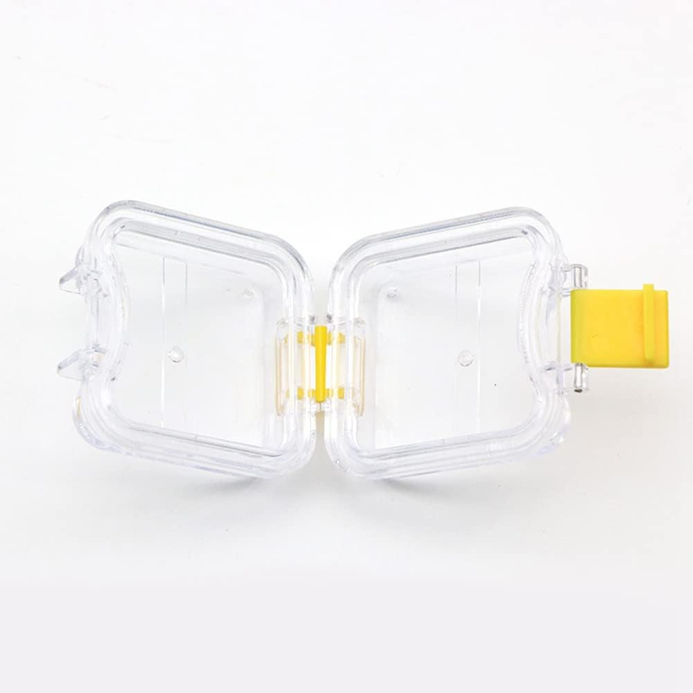 Anlayliay 10Pcs Plastic Denture Tooth Box with Film Denture Storage Box Dental Implant Membrane Tooth Box image number 5