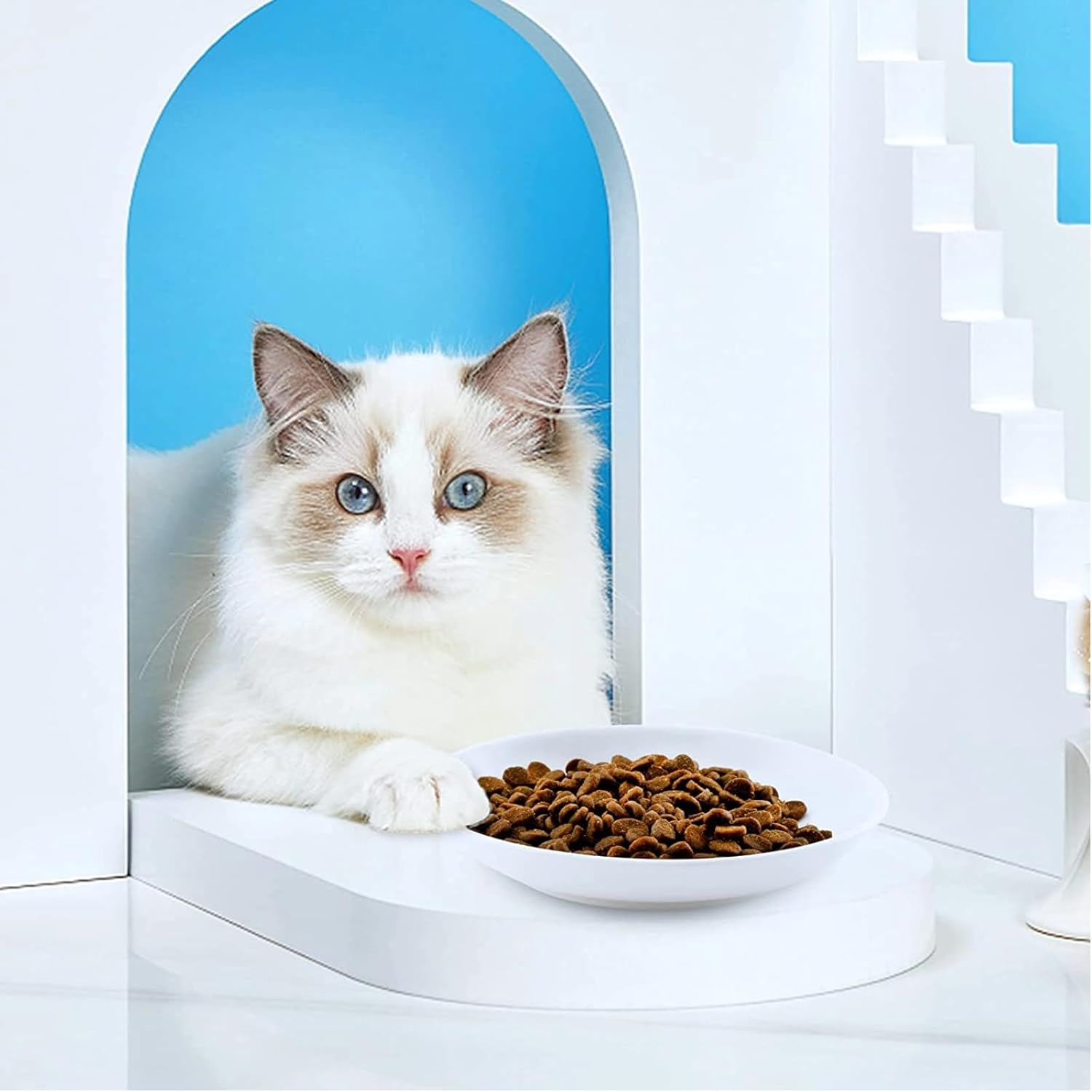 2 Pcs Cat Bowls, Wide & Shallow Cat Plates for Whiskey Fatigue Relief, 15Cm/6&rsquo;' Ceramic Cat Feeding Dishes Cute Fish Bone Design, Wet & Dry Food Feeding Bowls for Kittens, Cats, Puppies - White image number 2