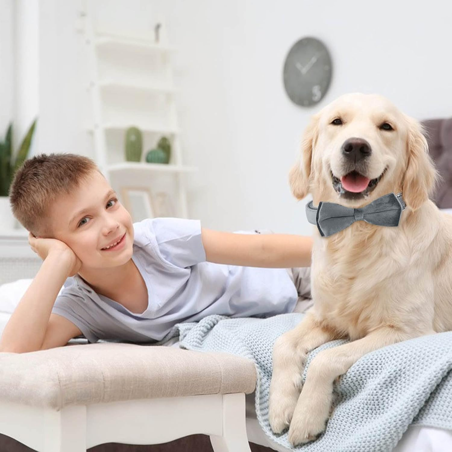 Asvin Dog Collar with Dog Bow Tie, Removable Dog Collar, Personalised Dog Collar, Zinc Alloy Link Buckle, Adjustable Dog Collar, for Dogs, Small, Medium, Large Dogs