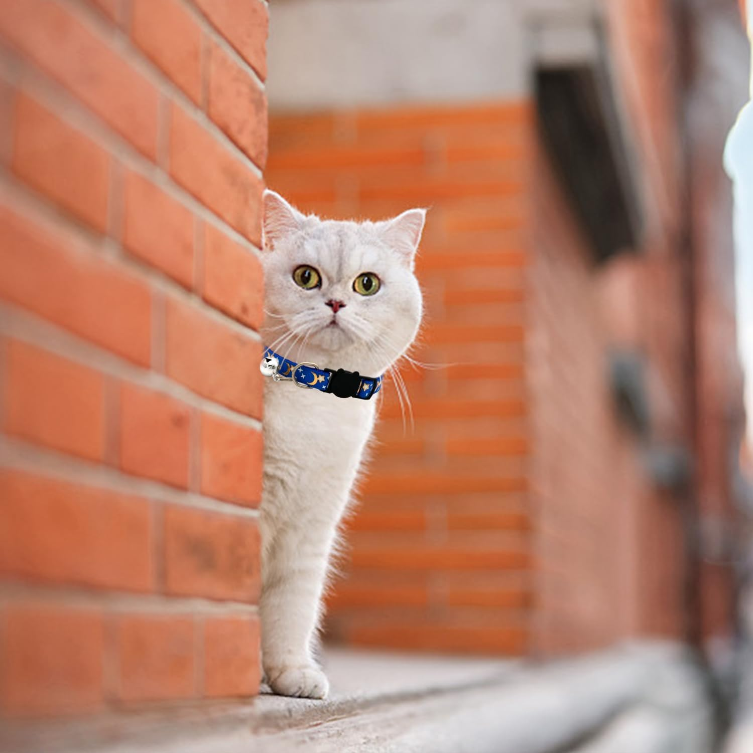 HDGSAFD 3 Xingyue Cat Collars, Comfortable Reflective Safety Buckle Collars, Accessories for Pet Bells, Suitable for Daily Walks and Trips with Pets