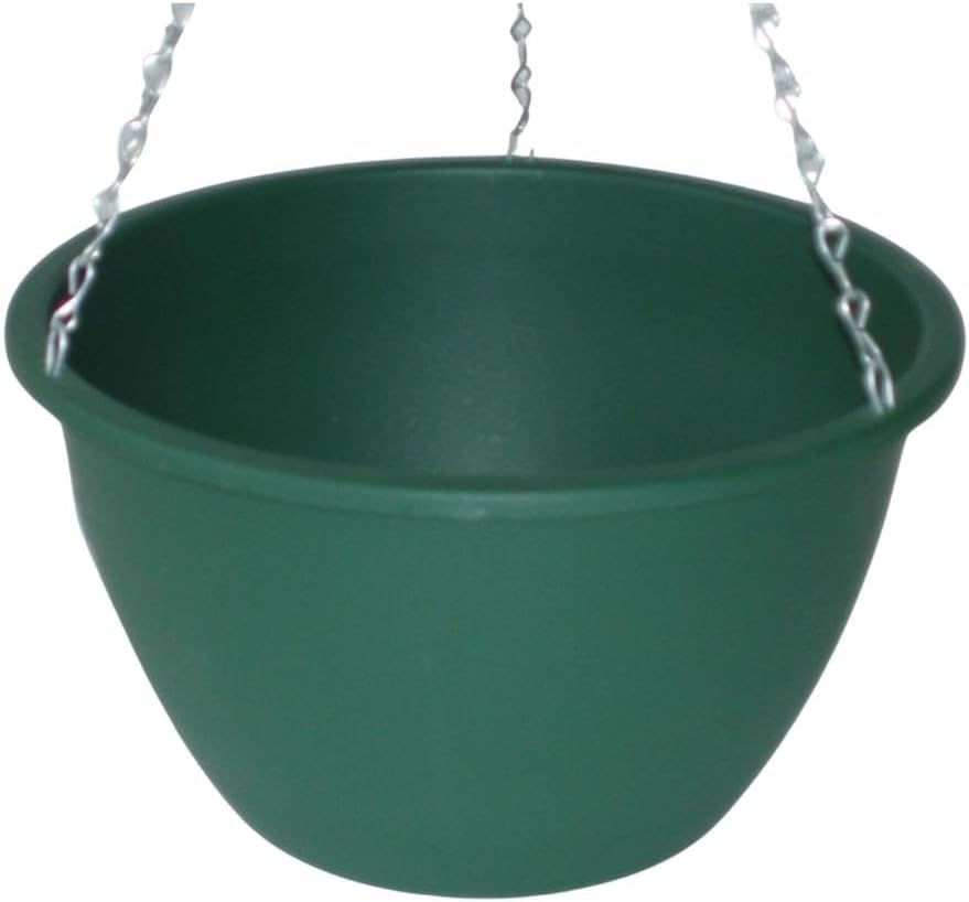 Homeleisure Planterra Hanging Basket, Green, 250 Mm