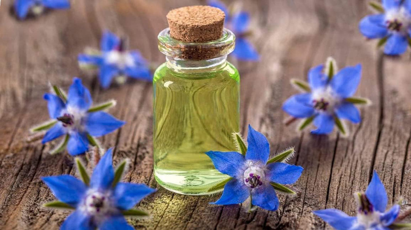 Dr Joe Lab Borage Seed Oil - 8 Oz - 100% Pure Cold Pressed Non-Gmo Premium Grade Carrier Oil for Skin Hair Nails Body Beard Face High GLA - All Skin and Hair Types - Packaging May Vary image number 5