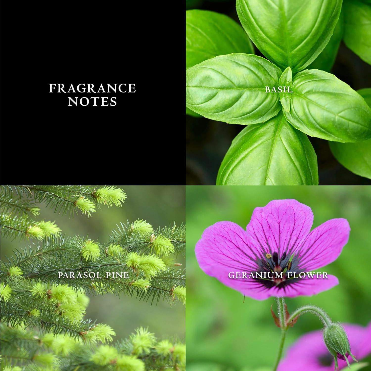 John Varvatos Artisan Blu image number 3