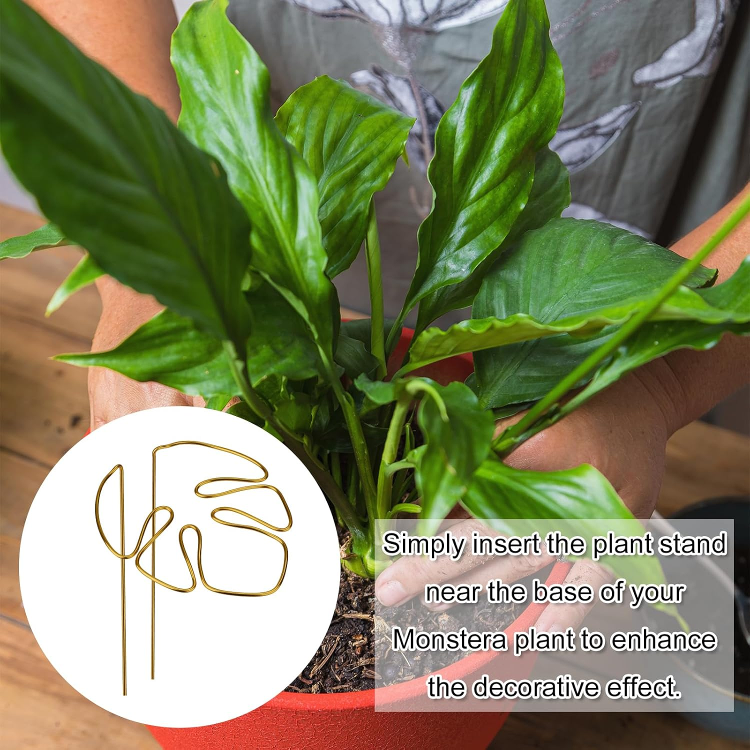 2Pcs Monstera Stand, Golden Stems Stands for Indoor Climbing Plants Reusable Plant Support for Indoor and Outdoor Plants image number 1