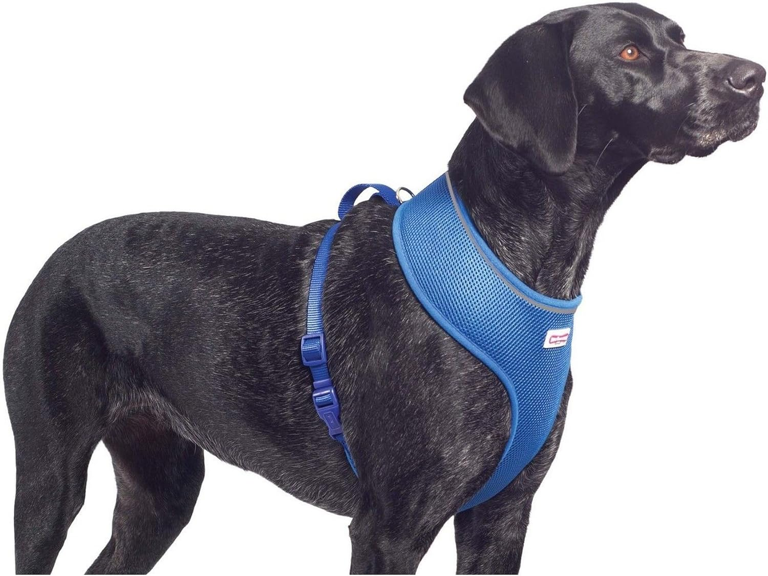 Simply Comfortable Comfort Mesh Dog Harness, Large image number 2