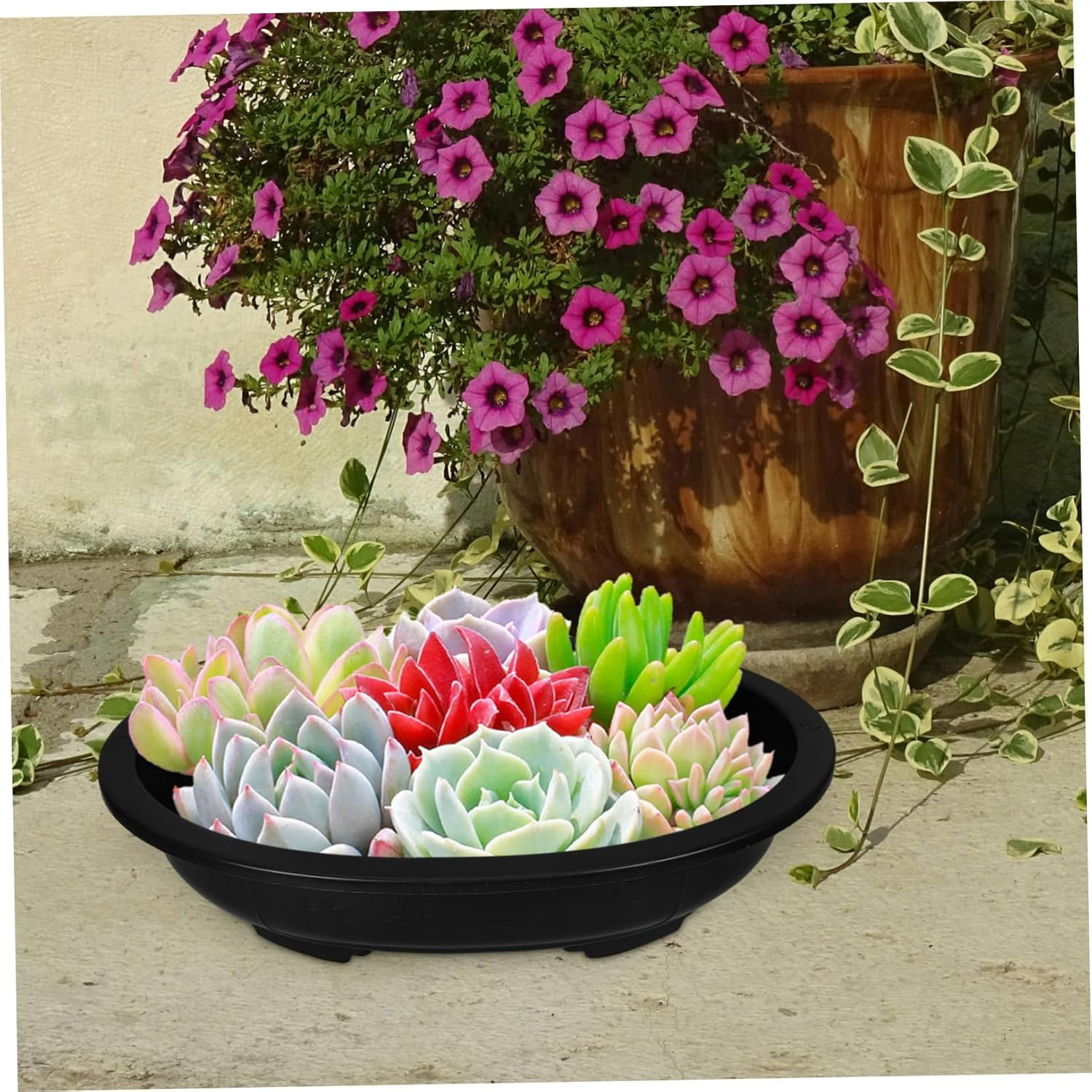 GAROZATION 4Pcs Oval Bonsai Flowerpot for Home Gardening Stylish Decorative Containers for and Bonsai Plants for Indoor and Outdoor Use image number 2