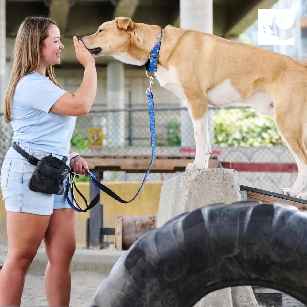 RC Pet Products 1-1/2-Inch All Webbing Martingale Dog Collar, Medium 12 to 20-Inch, Tan Tartan image number 3