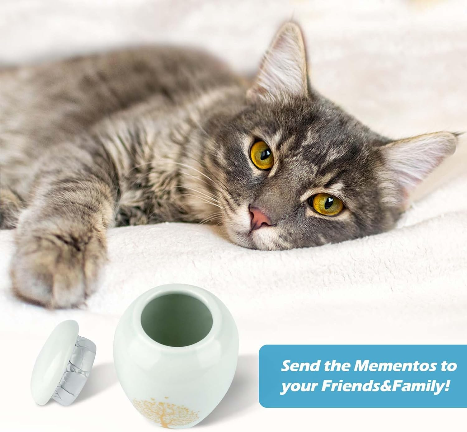 Pet Cremation Urns, Mini Urn with Engraved Tree of Life Pattern, Mini Keepsake Urn for Pet Ashes, Urns for Cat Ashes, Dogs and Small Pets (Light Blue) image number 3