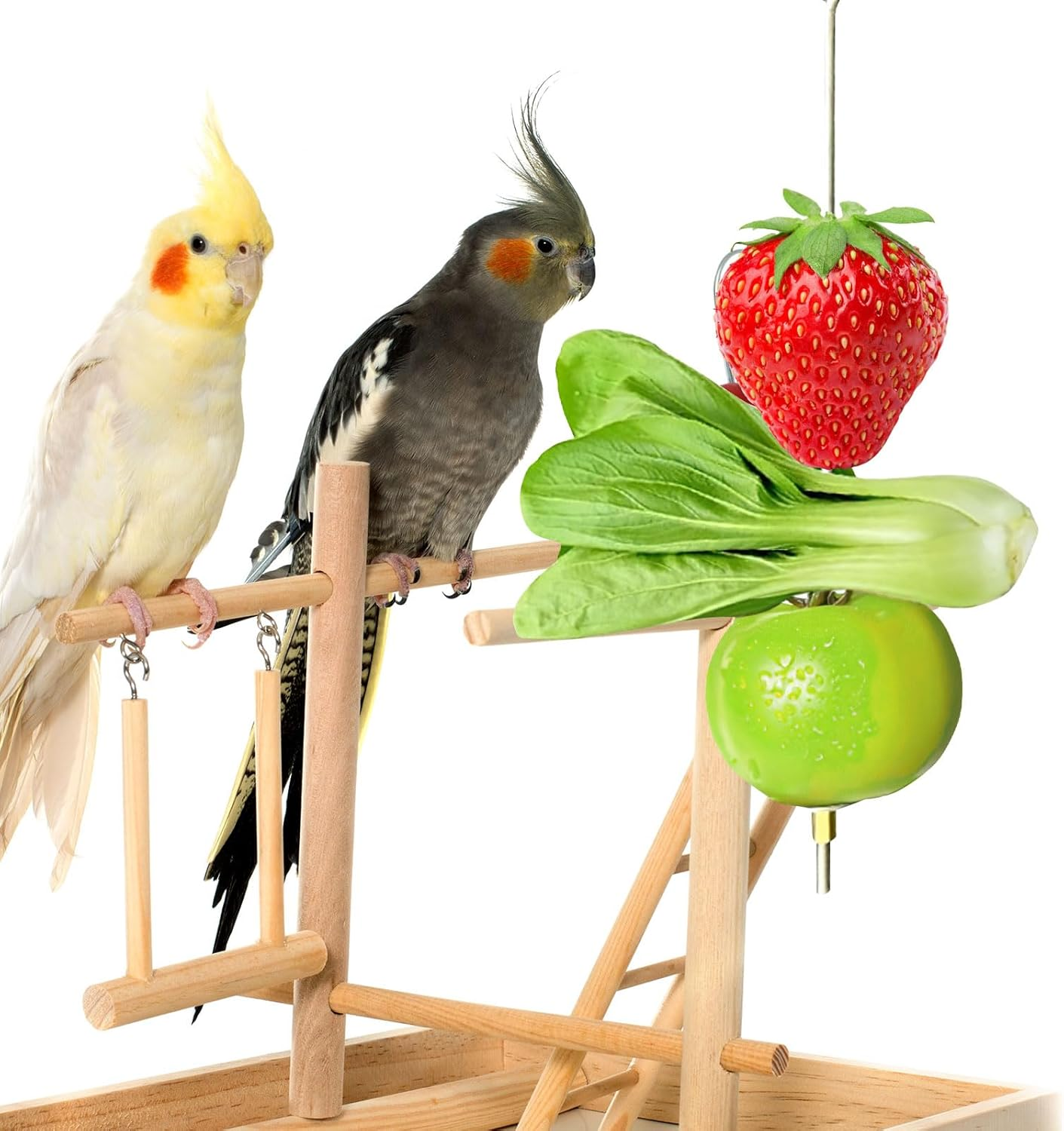 CHDZSW Pack of 2 Bird Spike Parrot Spike Feeder Budgie Accessories Toy Bird Bird Toy Feeding Manger image number 1