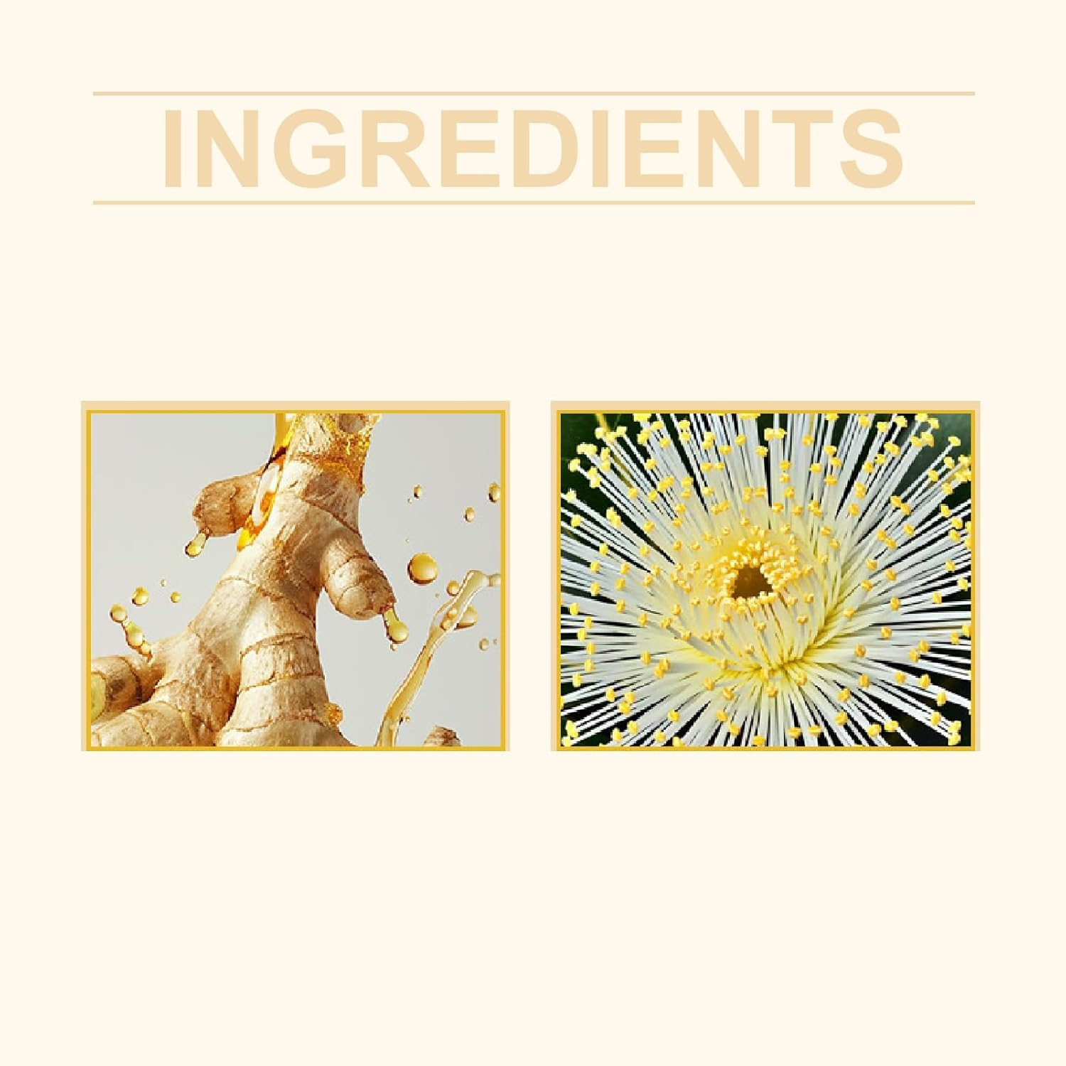 Ginger Nail Growth Serum, Nail Repair & Strengthener for Weak & Brittle Nails Serum, Damaged Broken Discolored Nails, 7 Days Toenail Treatment Extra Strength for Toenails Anti-Breakage Serums (4PCS) - 4Pcs image number 3