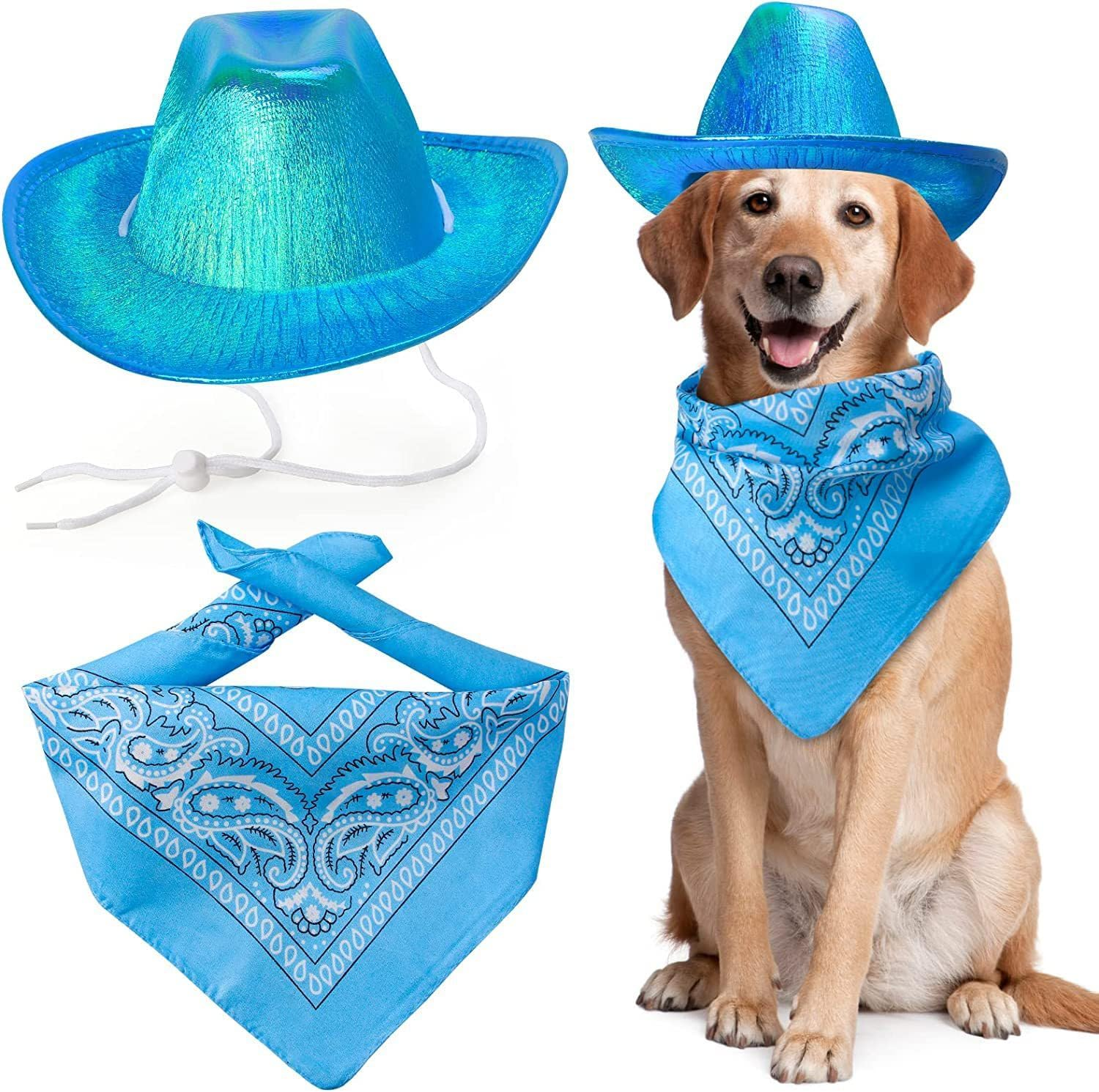 Dog Cowboy Hat Dog Cat Cowboy Hat Costume Cowboy Accessories for Pet Space Shiny Cowboy Hats for Dog Cat (Blue, One Size) image number 3