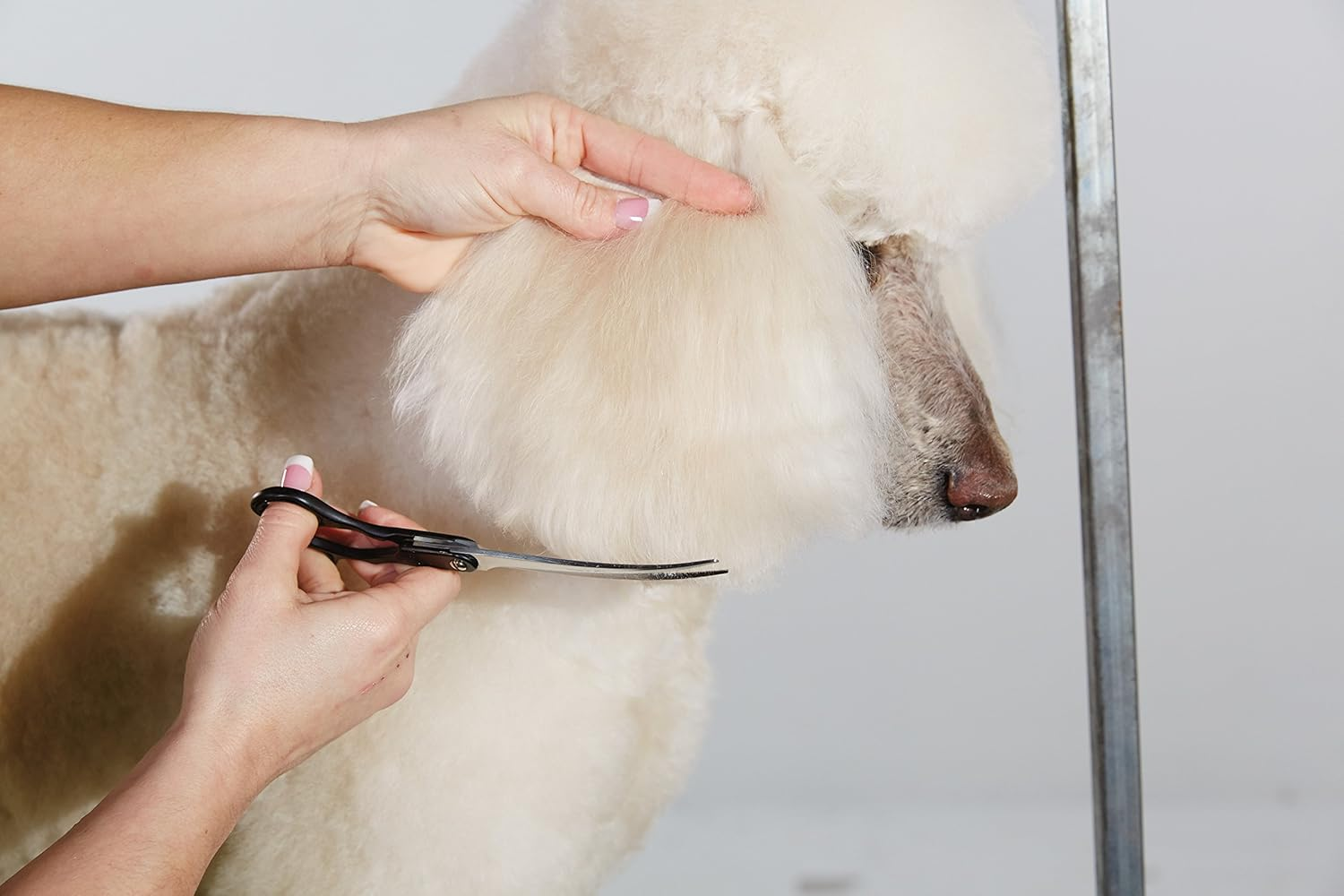 Andis Straight Shears, Right-Handed, Professional Dog and Cat Grooming image number 5