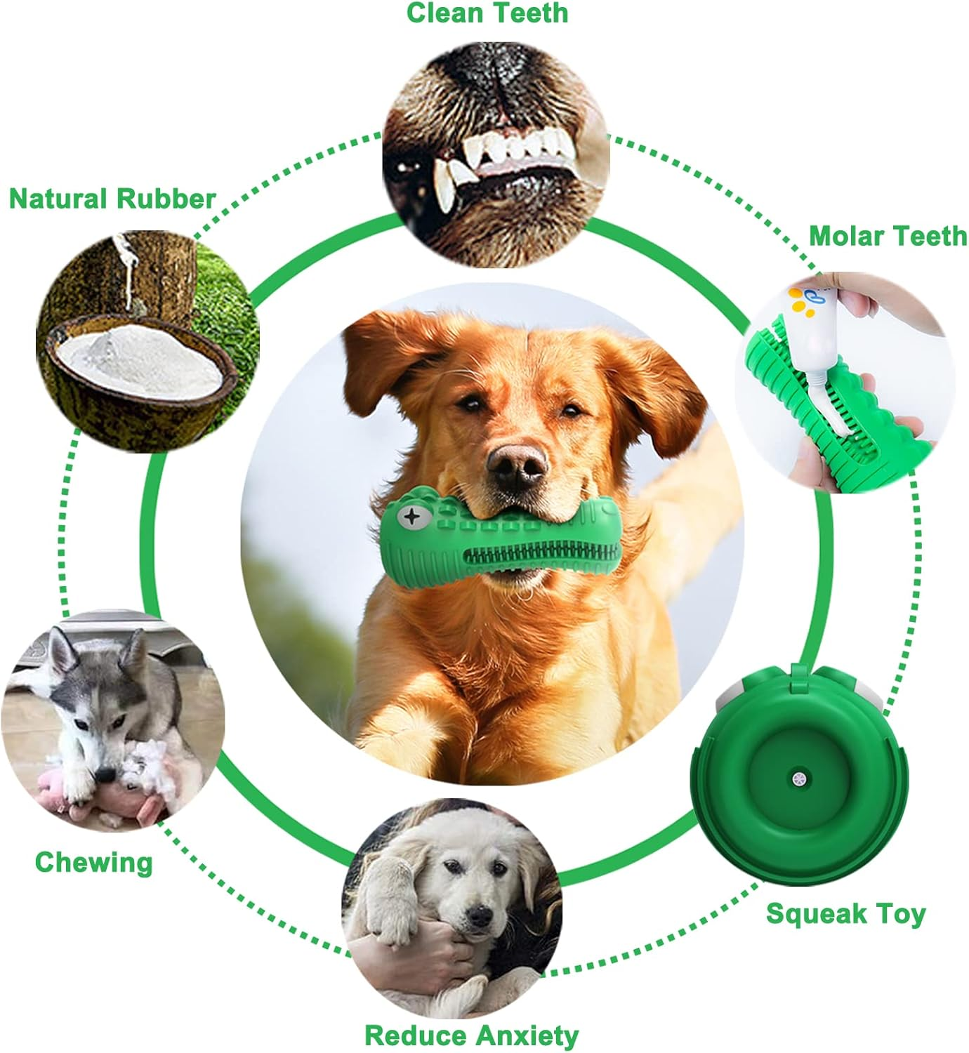 Dog Toys for Aggressive Chewers, Toothbrush for Old or Young Pet, Dog Chew Toys Made with Toughest Natural Rubber ,Durable Squeaky Dog Toys image number 5