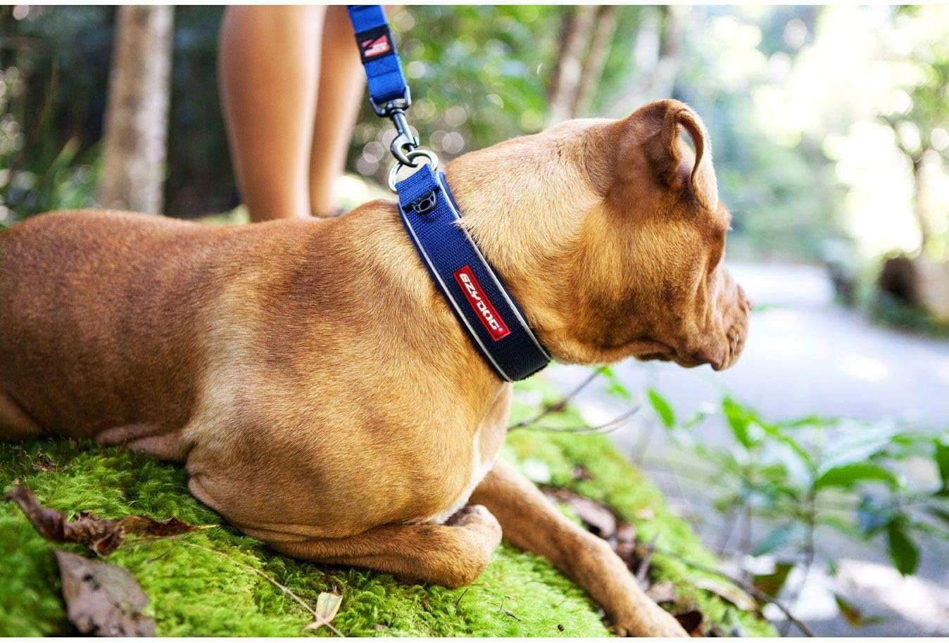 EZYDOG Classic Neo Dog Collar | Dog Collar Small, Medium, Large Dogs, Reflective Dog Collar, Supreme Comfort, Soft Neoprene Material, Non-Corrosive (Chocolate)