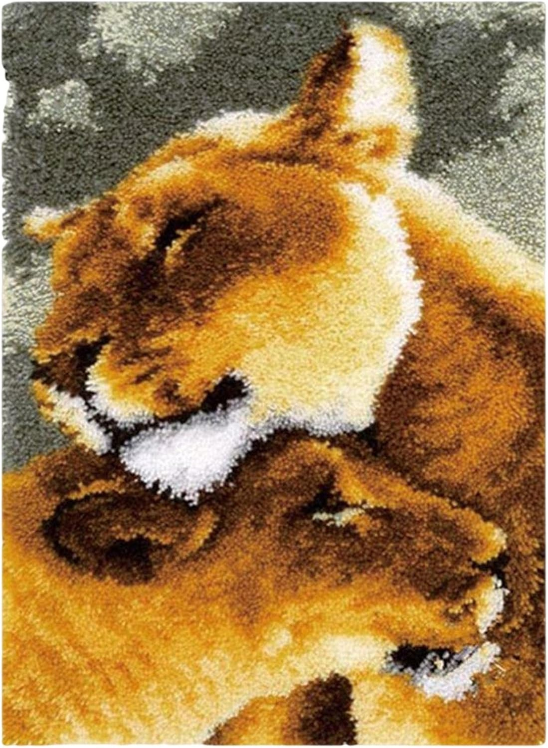 Oshhni Latch Hook Craft Kit Crochet Carpet Latch Hook Kits for Adults for Adults Beginners , Hug Cats