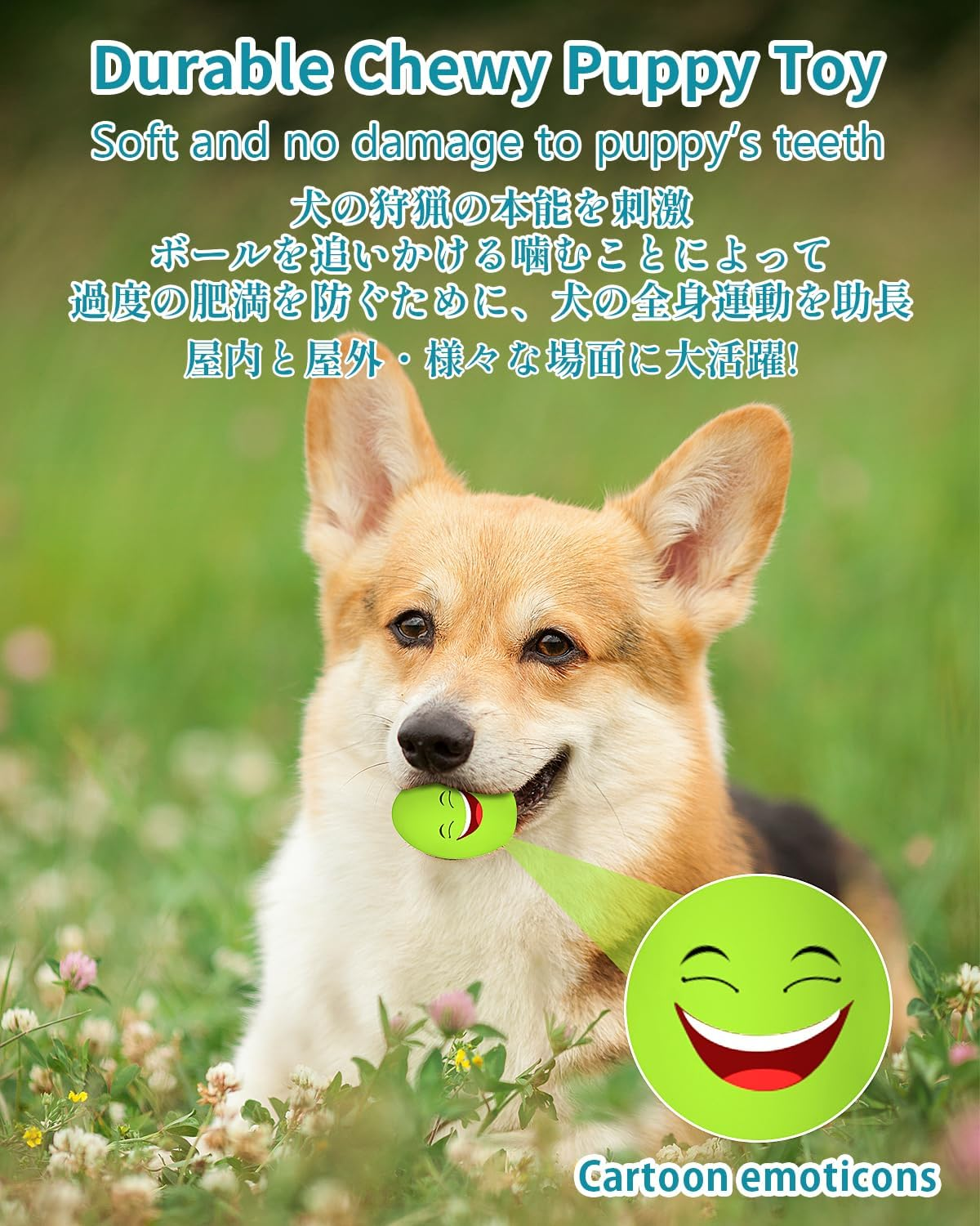 Dog Toys Squeaky, [10 Pack] Soft Puppy Egg Balls, Funny Interactive Squeak Pet Chew Toy for Puppies Small Medium Breed image number 6