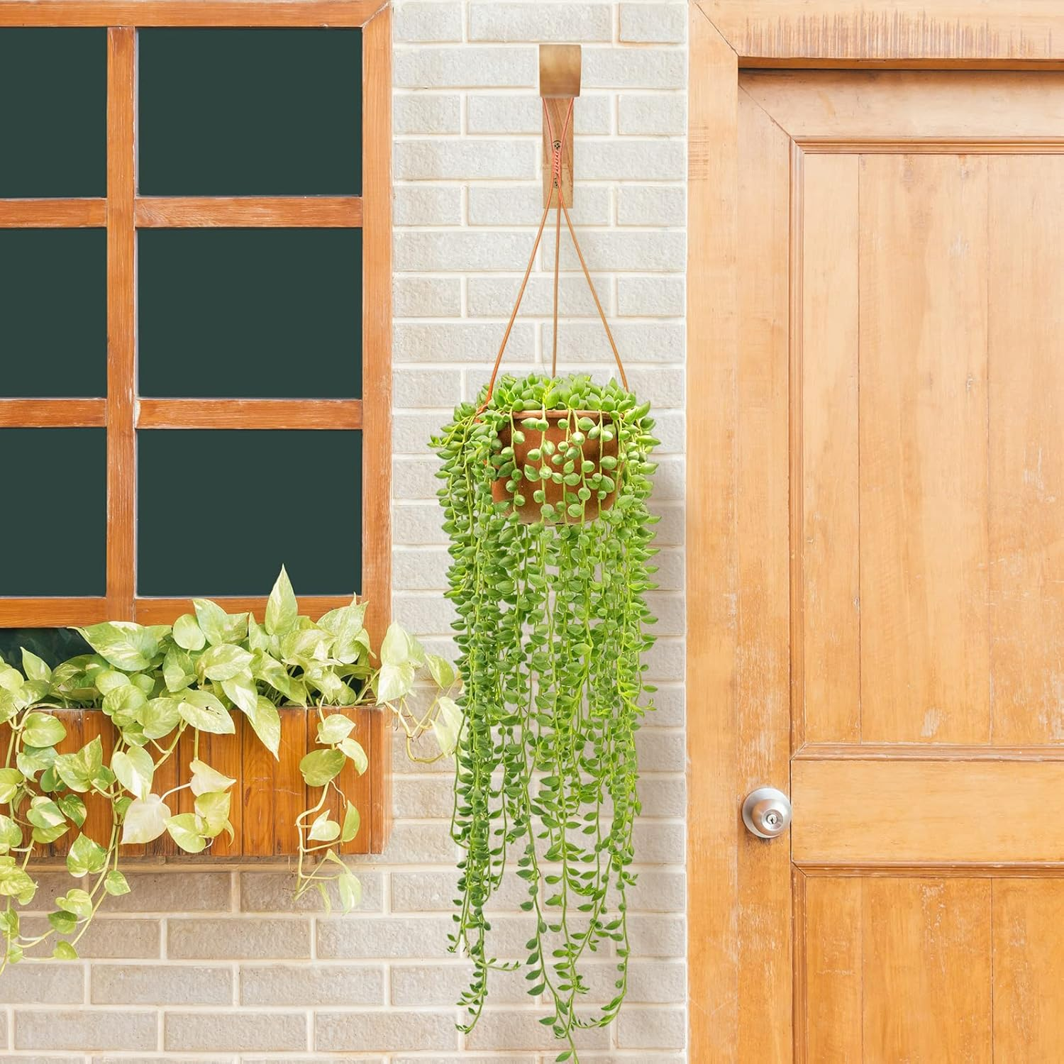 FGSAEOR Plant Hangers Outdoor, Hanging Plant Hooks for Indoors, Wave-Shaped Wooden Hanging Baskets for Wall Plant Hooks Heavy Duty for Flower Pots Wind Chimes and Bird Feeders (2-Pack, 6.8-Inch) image number 3