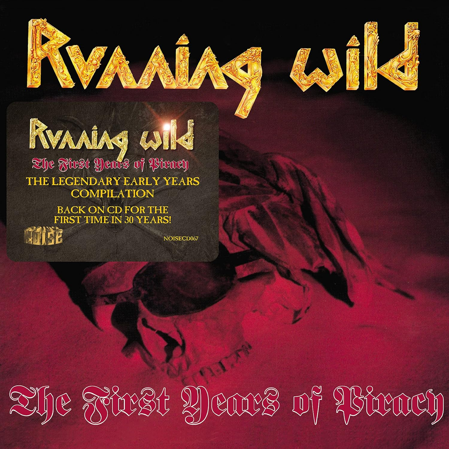 The First Years of Piracy image number 1