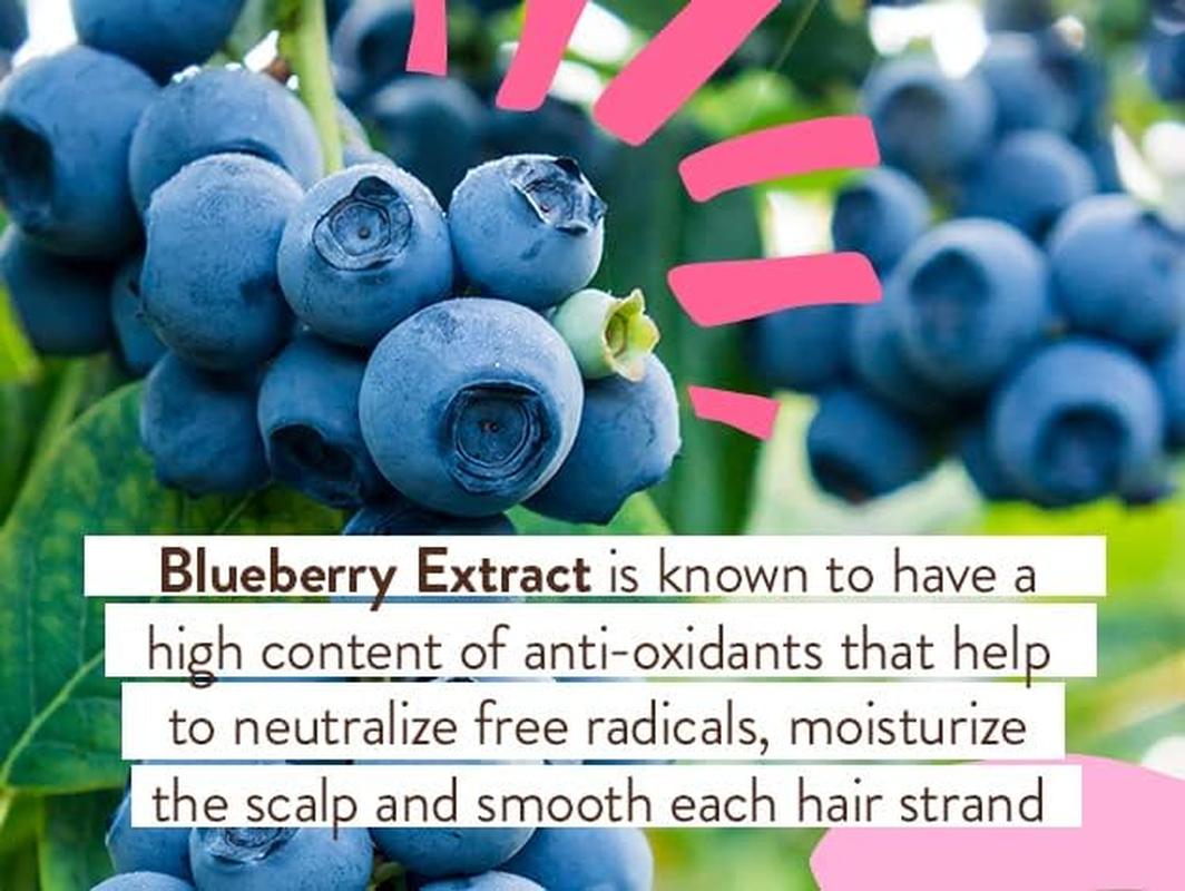 Babo Botanicals Smoothing Shampoo and Wash, Berry Primrose, 16 Fluid Ounce image number 5