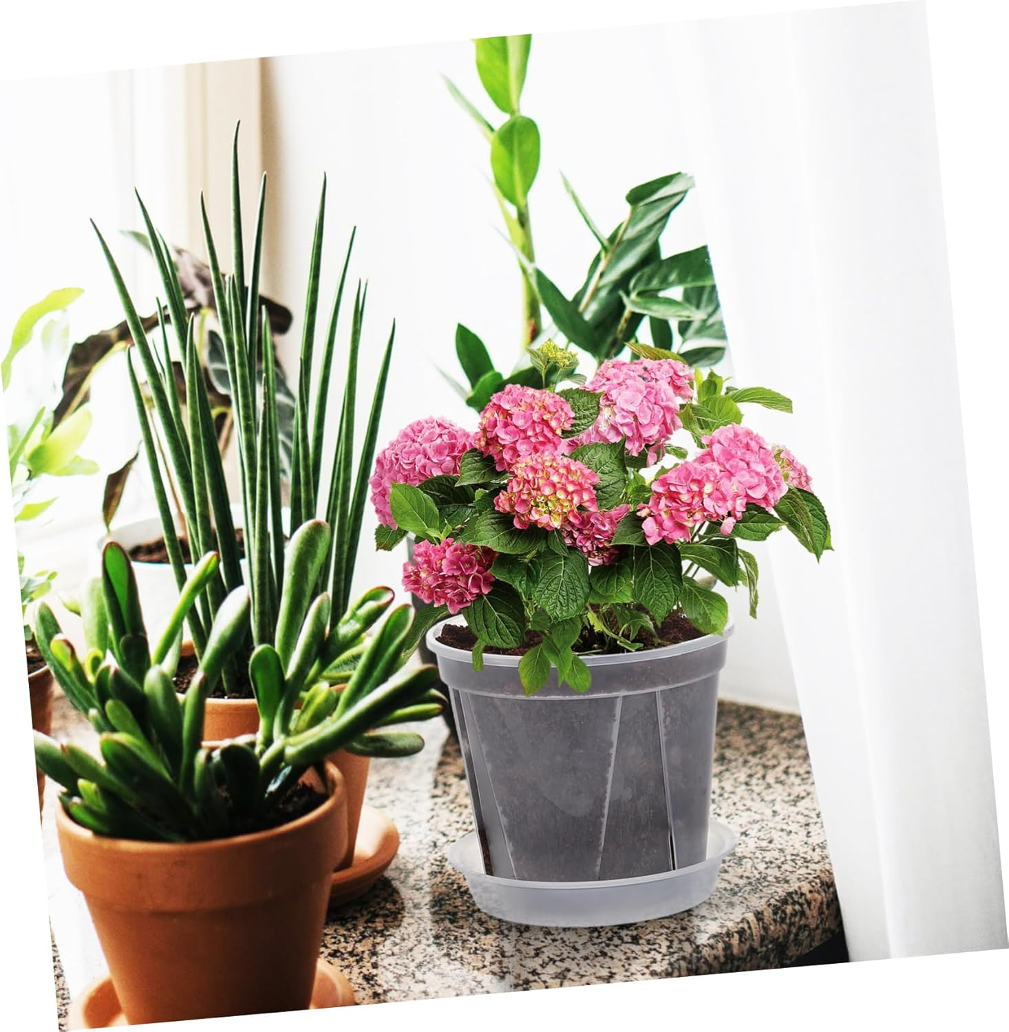 PHENOFICE 4Pcs Breathable Orchid Flower Pots with Drainage Trays 0.3 Gallon Plastic Nursery Planters for Indoor and Outdoor Plants Gardening image number 2