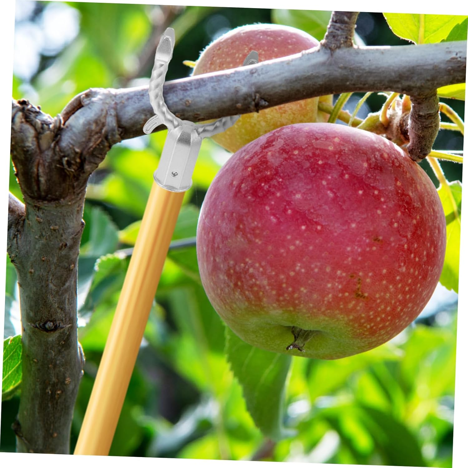 Plants Training Tools Branches Fixing Tool for Outdoor Gardens 6Pcs Silver Aluminum Alloy Tree Braces Lightweight to Support Fruited Trees and Improve Photosynthesis image number 2