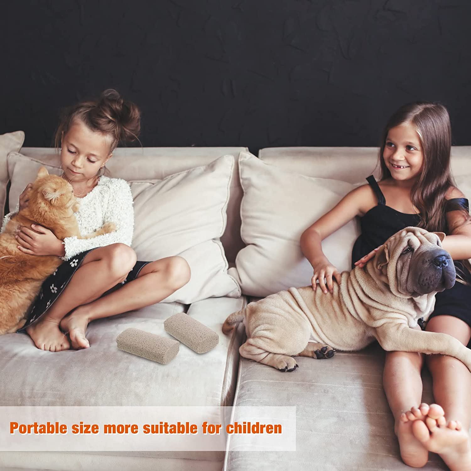 Xuniea 2 Pieces Pet Hair Remover for Cat Hair Removal Pumice Stone Tool Carpet Dog Fur Removal Tool for Car Couch Furniture Bedding Easy to Clean (4 Inches) image number 1