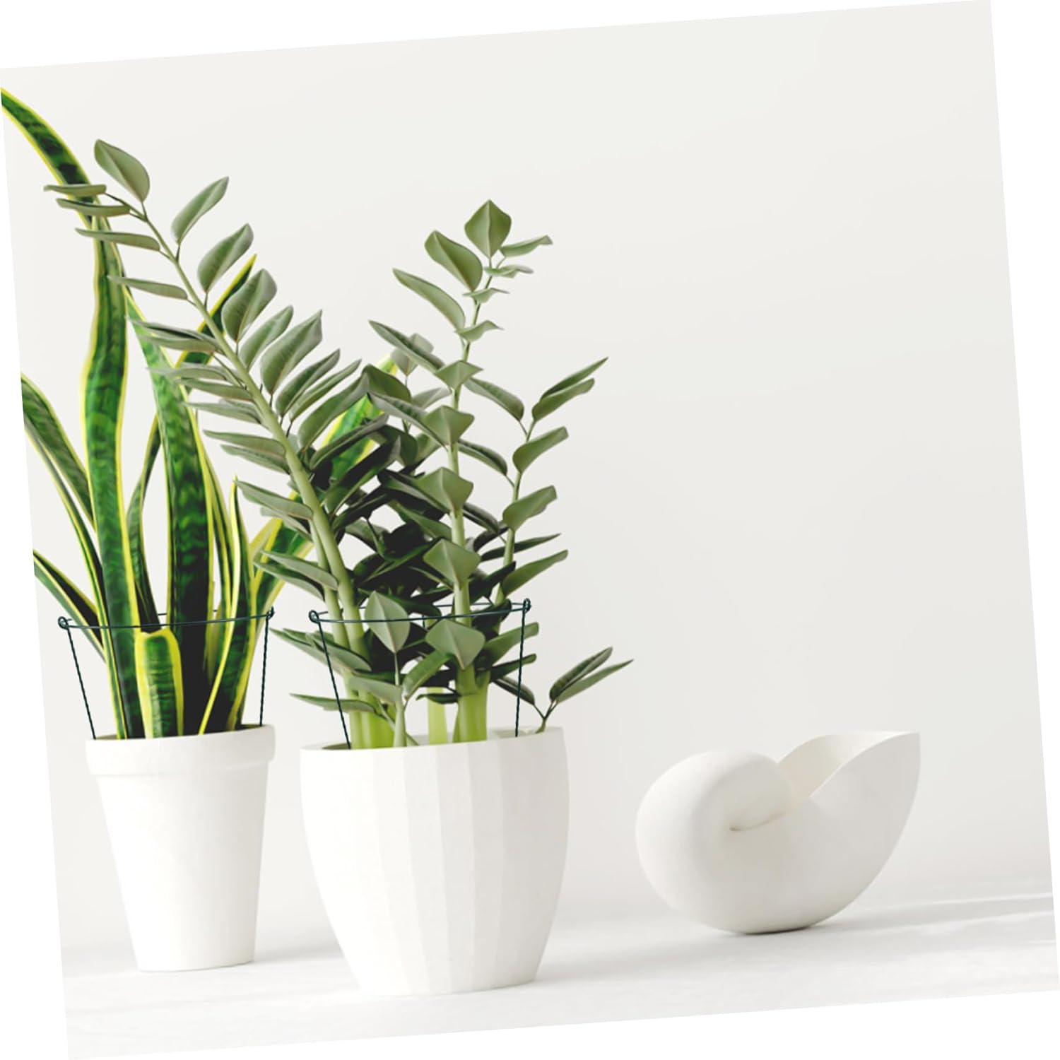 BUTIFULSIC 3Pcs Gardening Support Frame Peony Cages Plant Climbing Trellis Orchid Stakes Plant Bracket Garden Climbing Stakes Support Frames for Plant Vine Support Wrought Iron Green image number 1