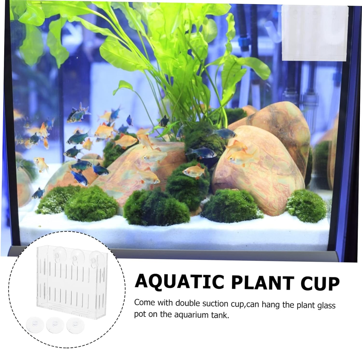 GANAZONO Acrylic Aquatic Plant Holder with Suction Cup, Large Mini Water Plant Pot for Fish Tank Landscape, Water Grass Cup Suitable for Aquarium Decoration and Aquatic Pets image number 6