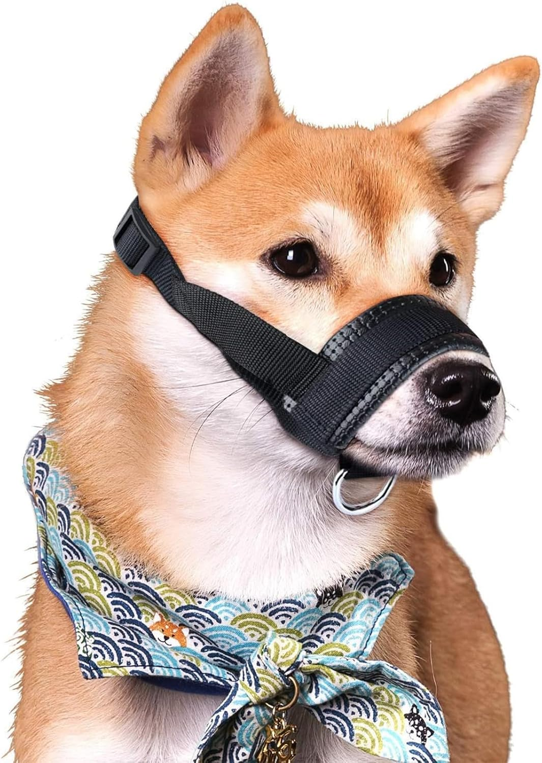 Nylon Muzzle for Dogs, Adjustable Loop, Breathable, Safe, Quick Fit for Small, Medium Dogs, Prevents Biting, Chewing and Barking