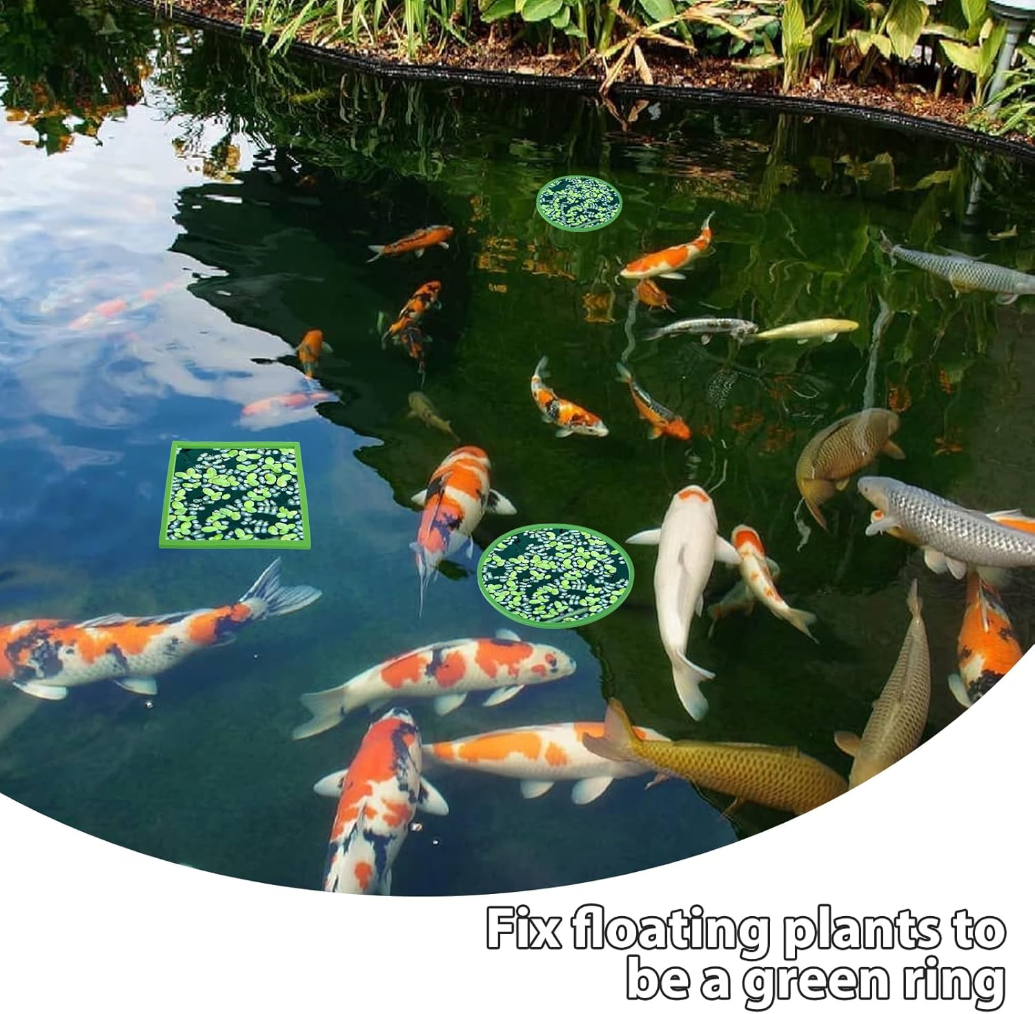 10 PCS Aquarium Floating Plant Corral, 5 Sizes round & Square Fish Feeding Rings Aquarium Plant Holder Turtle Betta Fish Tank Accessories, Reduces Automatic Fish Feeder Waste, Maintains Water Quality image number 3