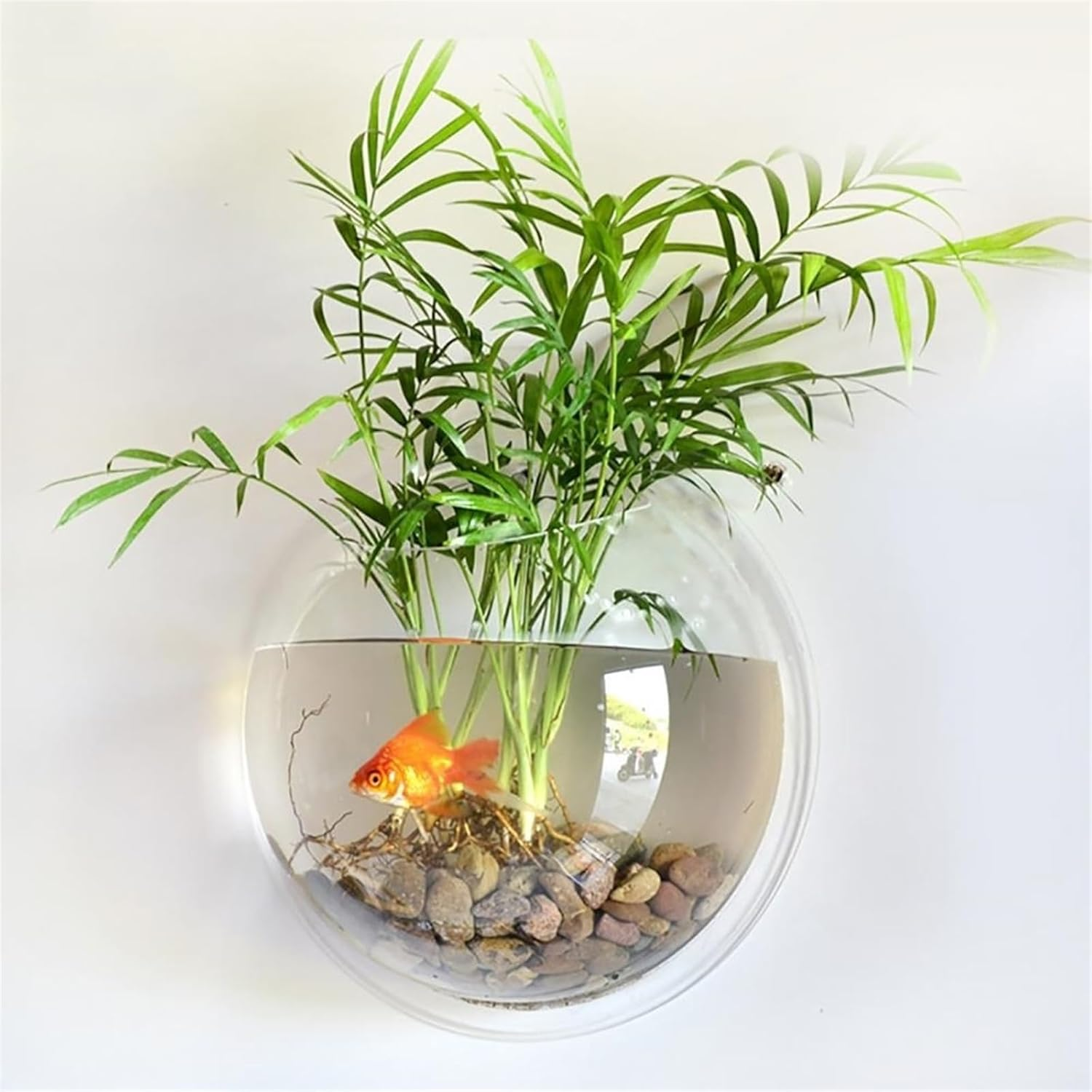 Aquariums Fish Tank Wall-Mounted Acrylic Aquarium Tank round Transparent Wall-Mounted Fish Tank Home Decoration Aquatic Plant Culture Fish Bowl
