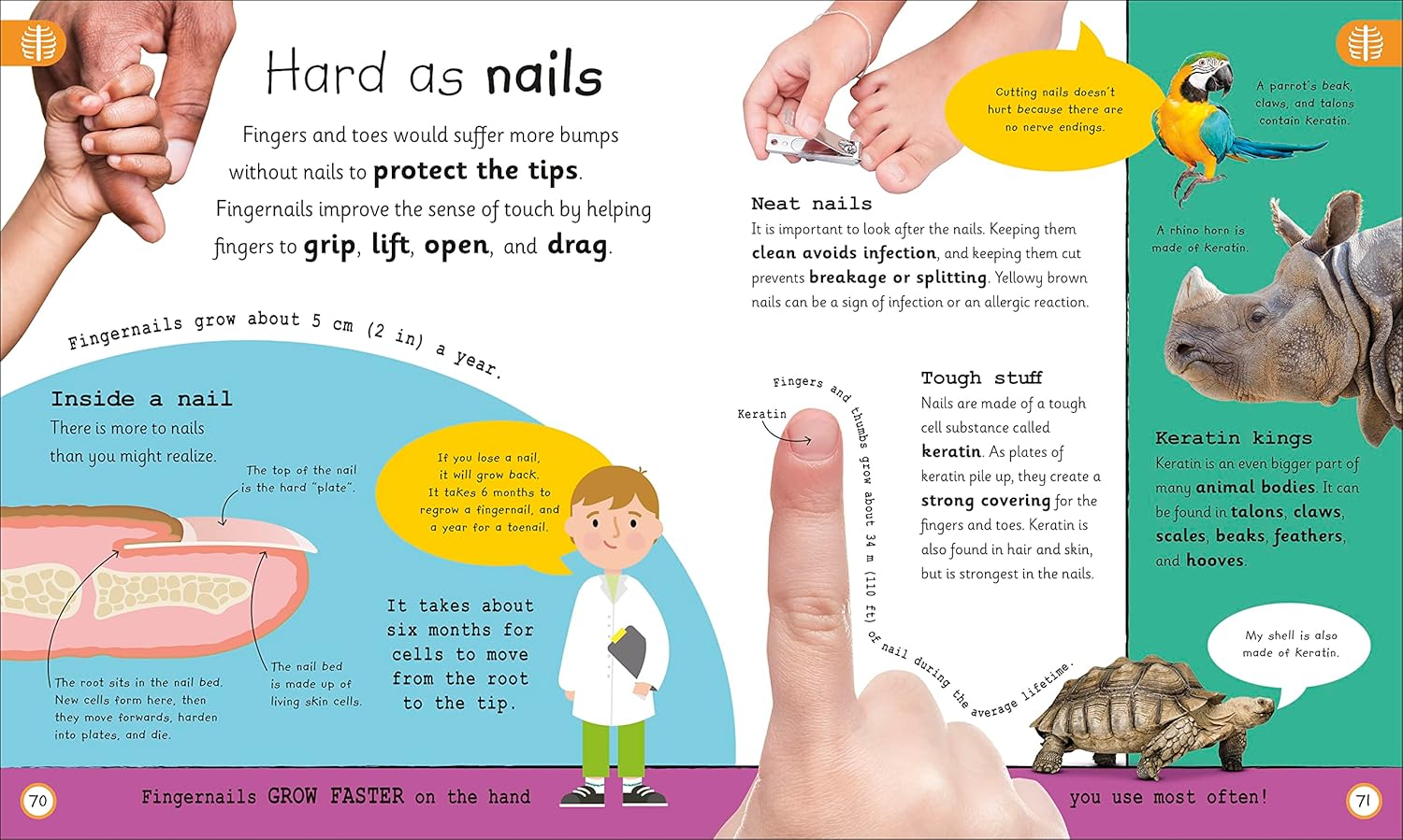 My Very Important Human Body Encyclopedia: for Little Learners Who Want to Know about Their Bodies image number 5