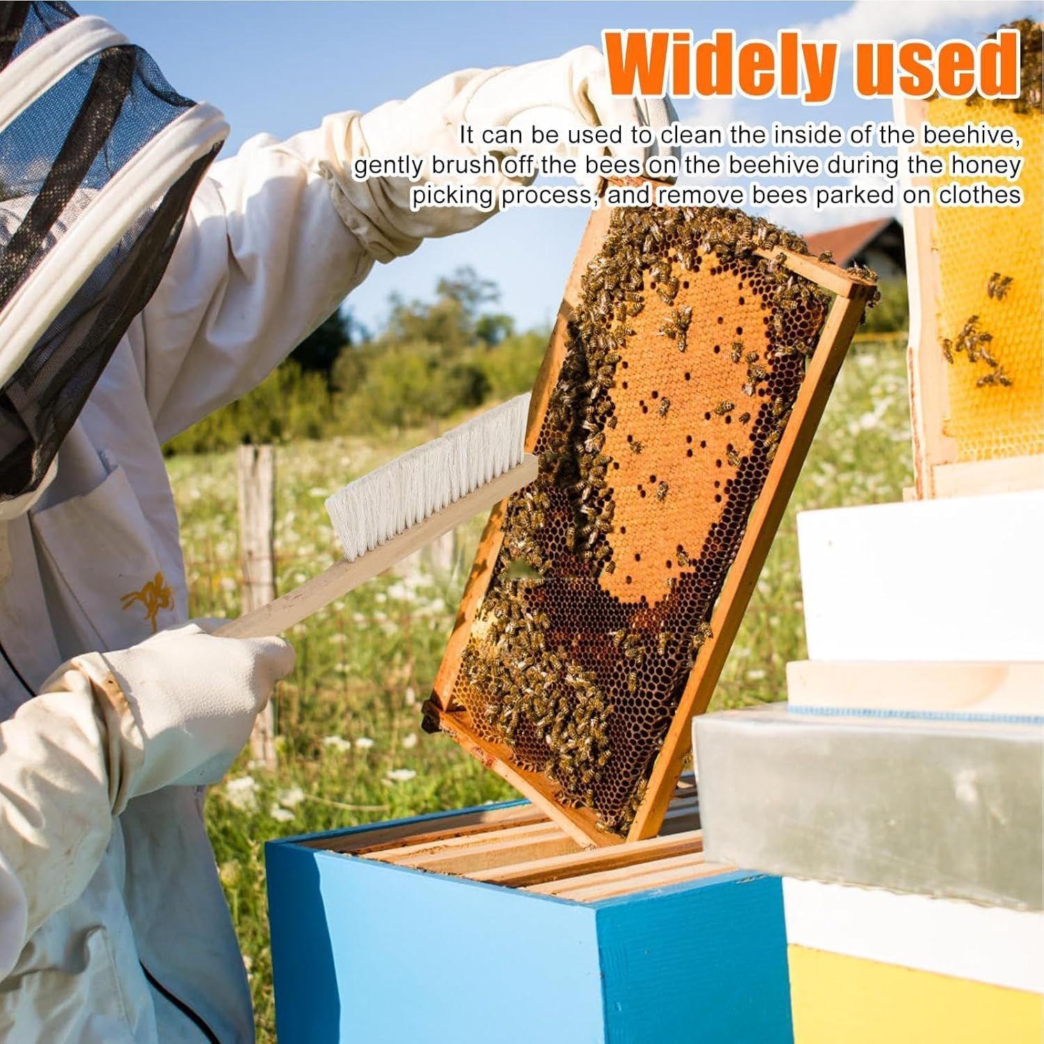 Bee Hive Tool Brush | Bee Brush Kit | Beekeeper Equipment Combo | Beekeeping Buddy, Beehive Cleaning Brush, Tool for Gentle Hive Maintenance and Beekeeping image number 3